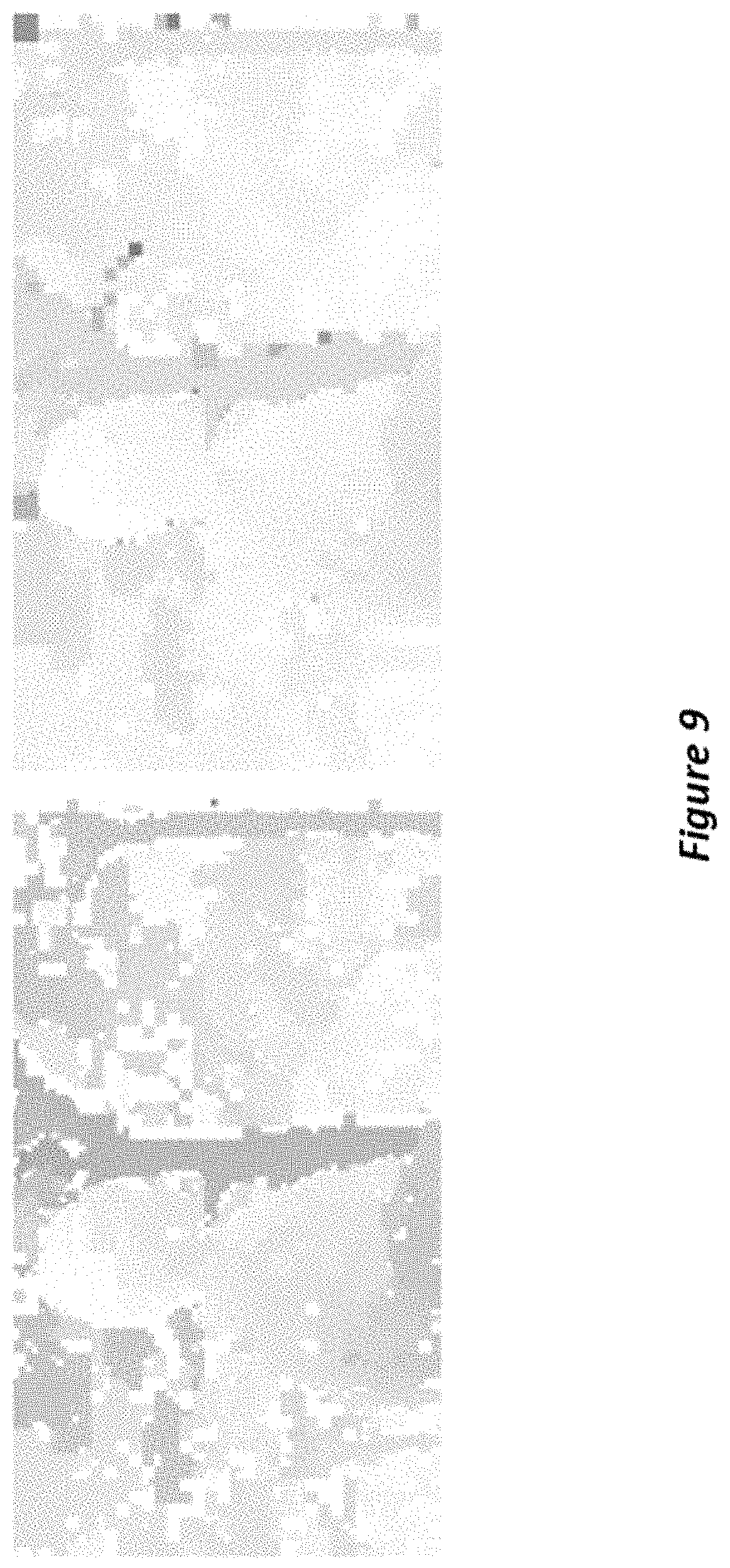 Patent US11778195 Figure 9 – Fast, high quality optical flow estimation from coded video