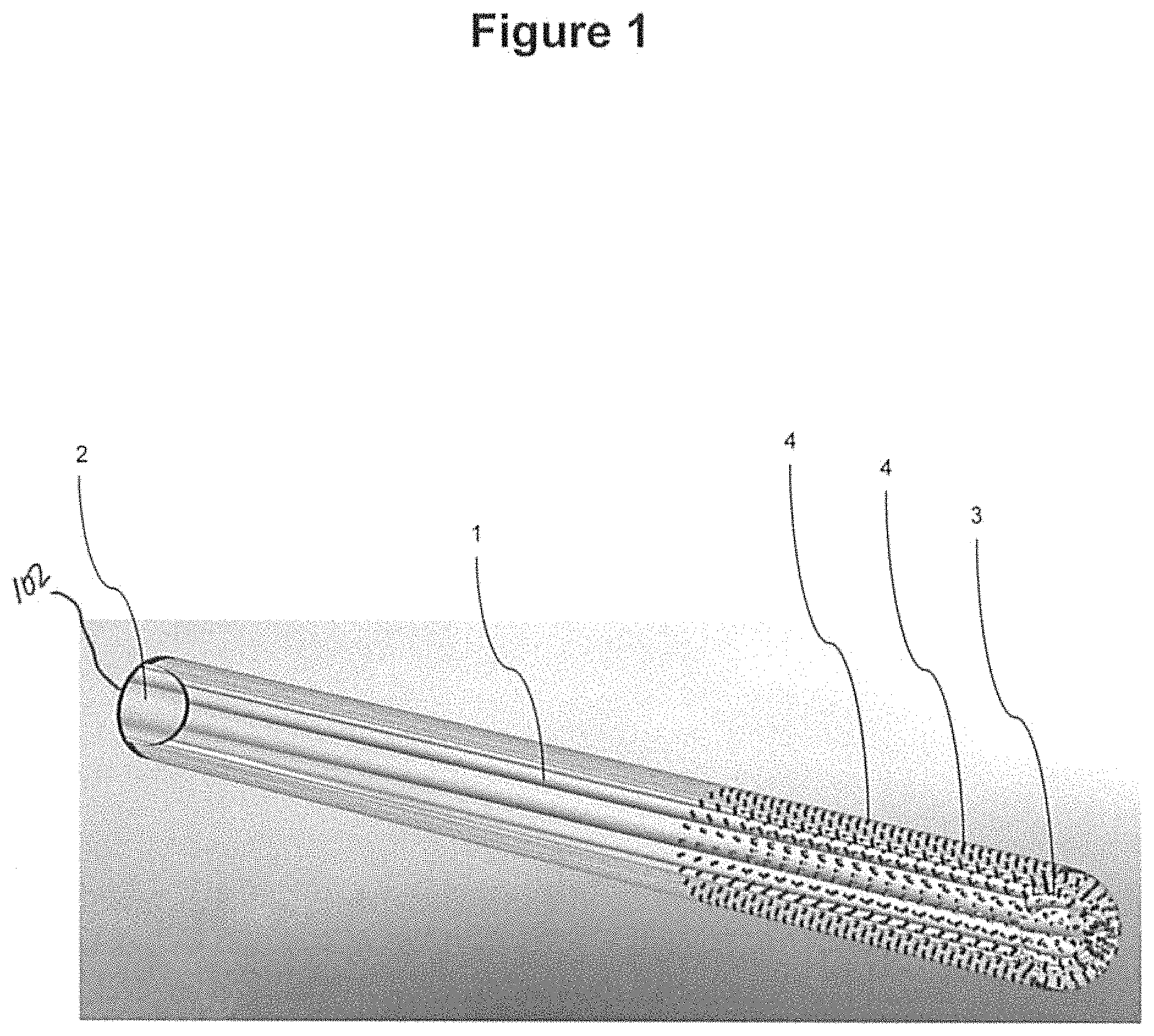 Patent US11778696 Figure 1 – Vaporiser assembly for an aerosol-generating system