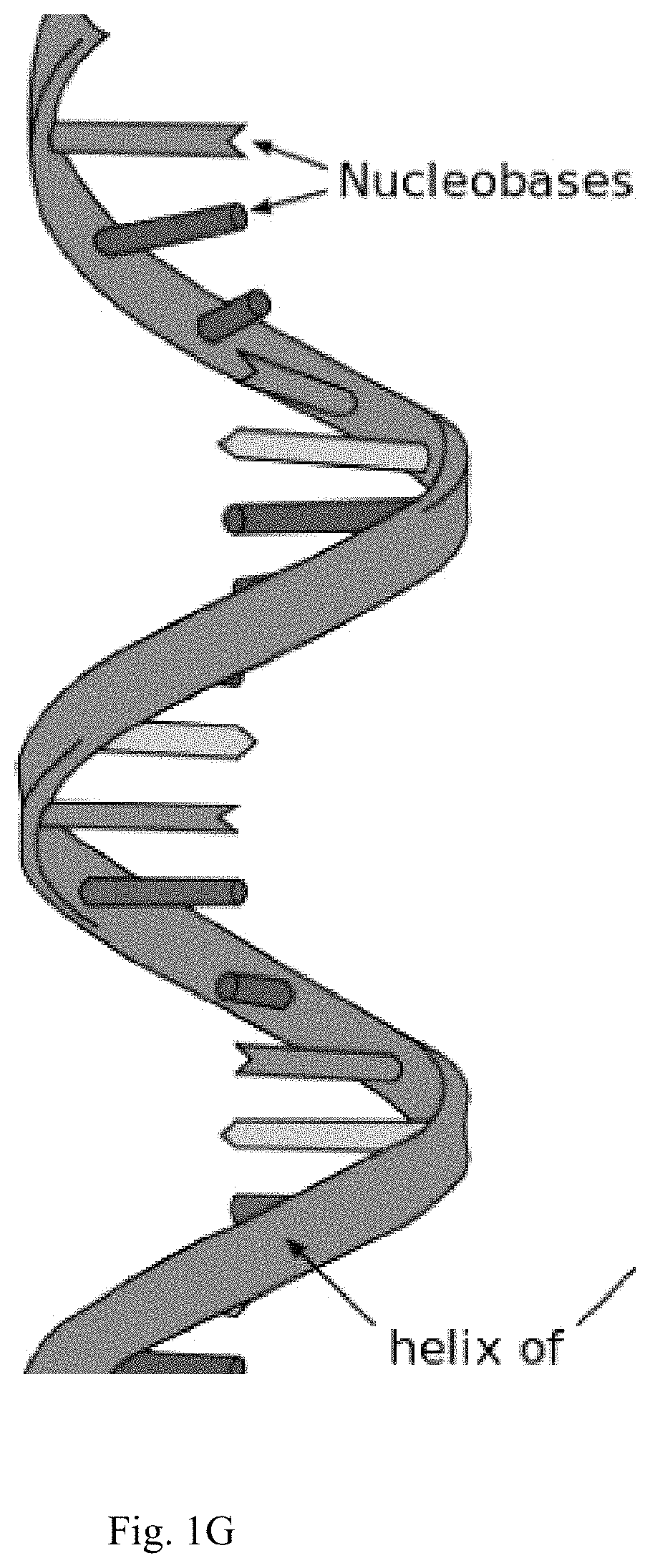 Patent US11778794 Figure 7 – Biopolymer-based electromagnetic interference shielding matertals