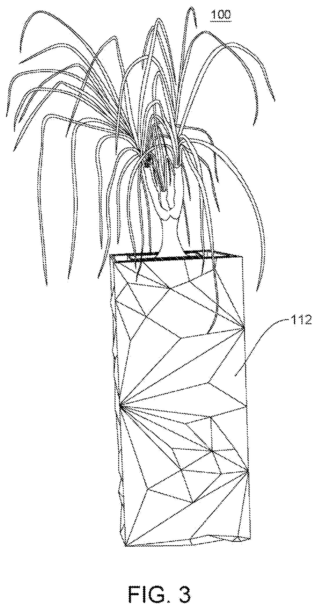 Patent US11778954 Figure 3 – Planter system and methods for using same