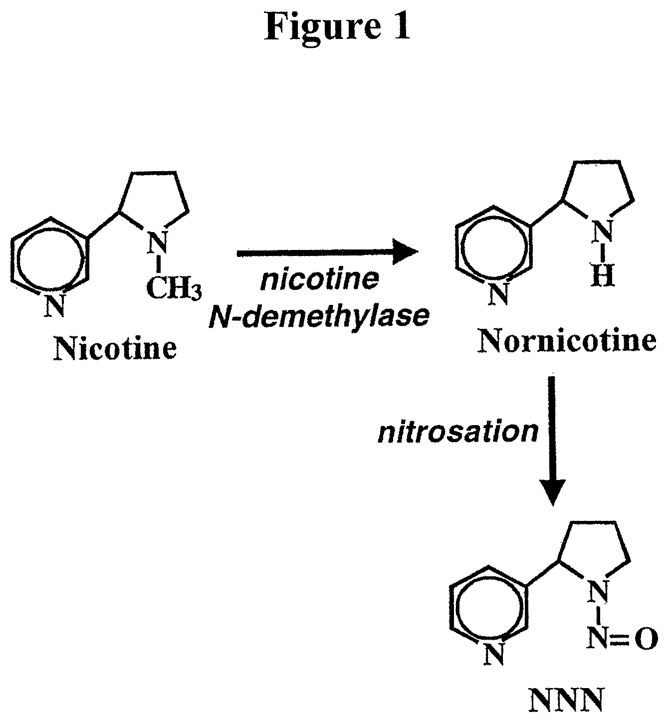 Patent US11778965 Figure 1 – Alteration of tobacco alkaloid content through modification of specific cytochrome P450 genes