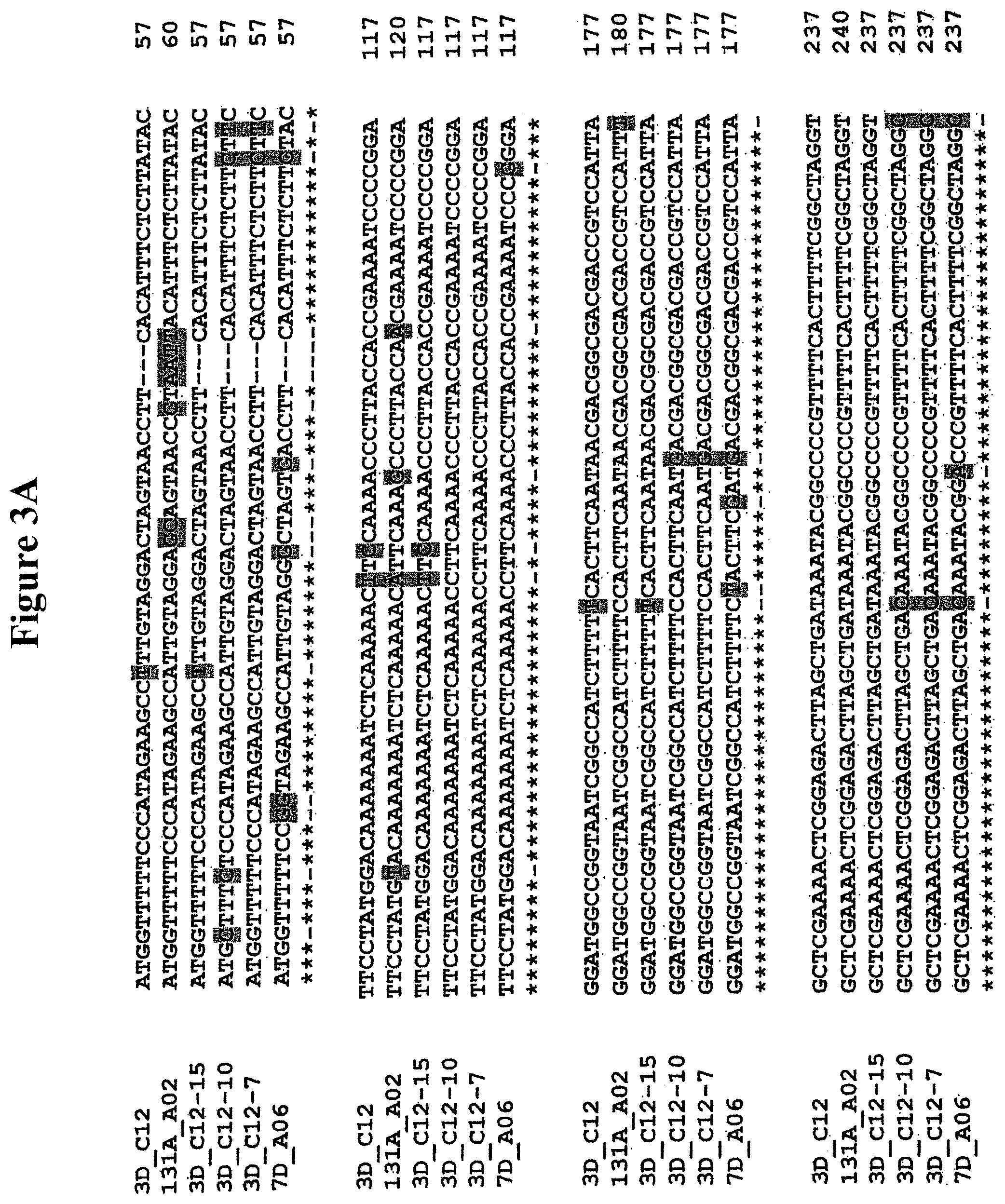 Patent US11778965 Figure 3 – Alteration of tobacco alkaloid content through modification of specific cytochrome P450 genes