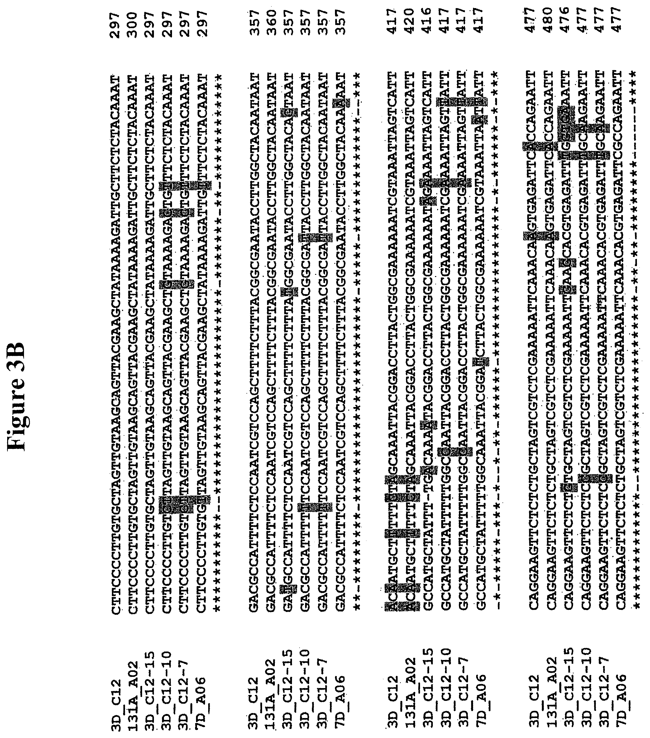 Patent US11778965 Figure 4 – Alteration of tobacco alkaloid content through modification of specific cytochrome P450 genes