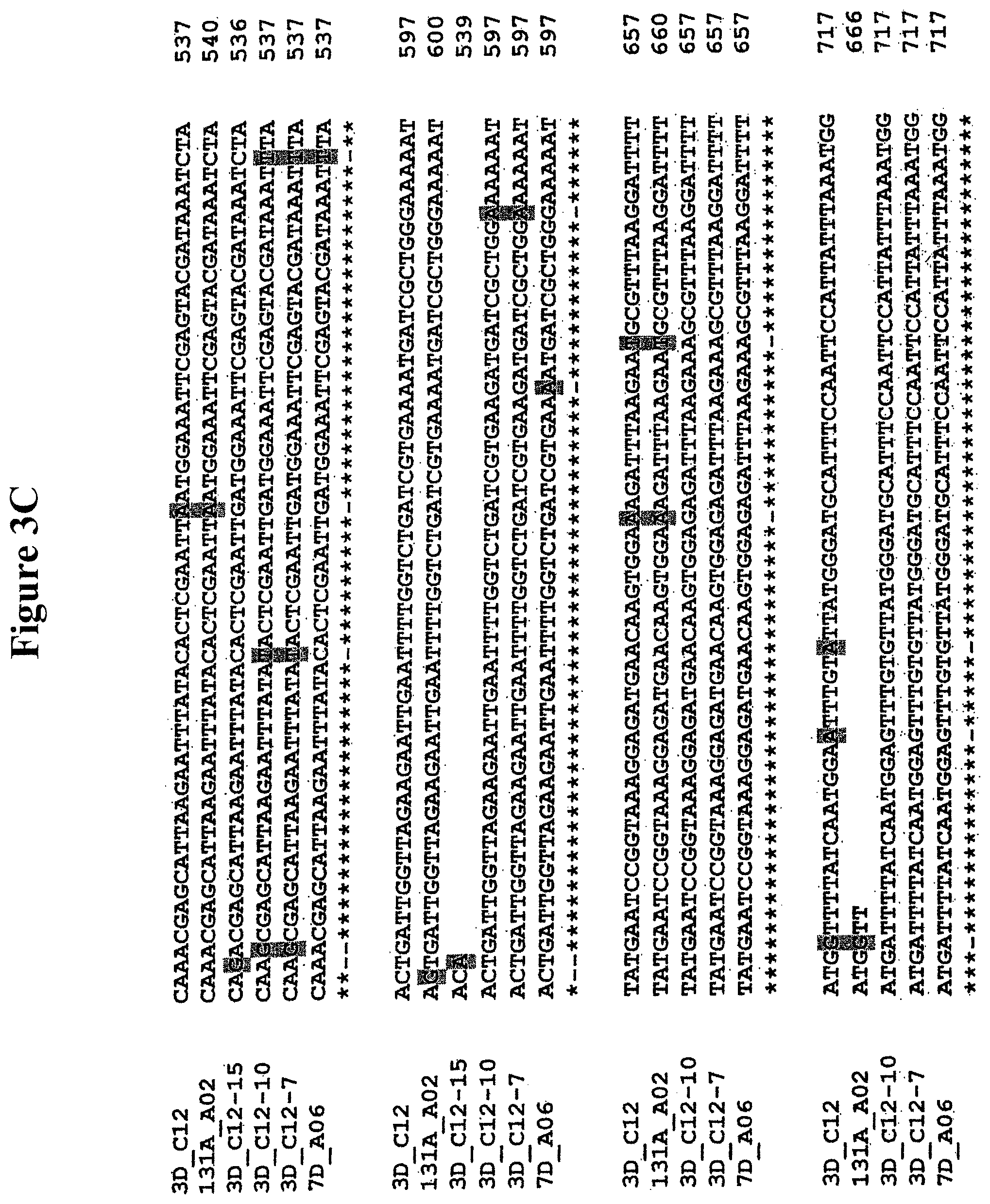 Patent US11778965 Figure 5 – Alteration of tobacco alkaloid content through modification of specific cytochrome P450 genes