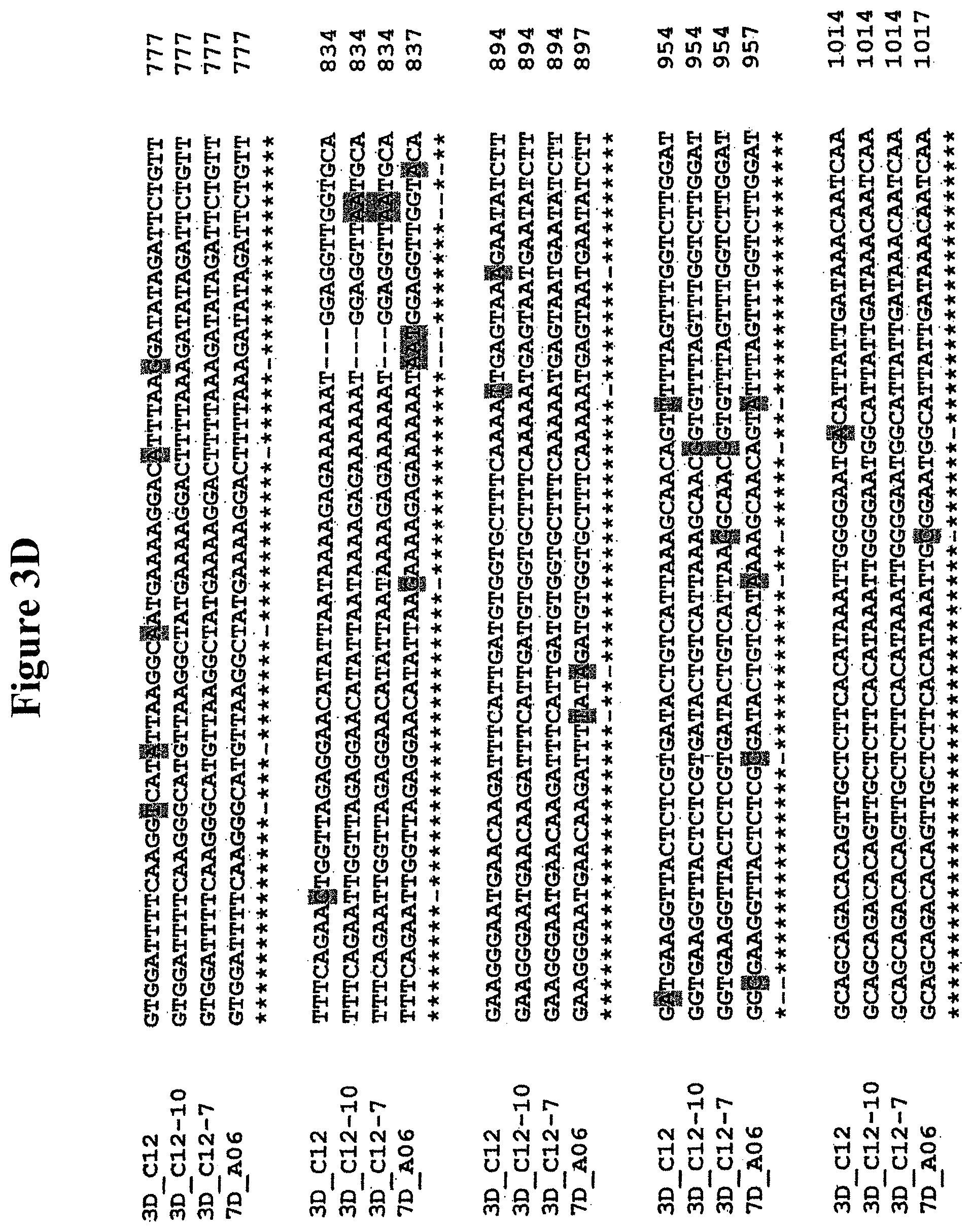 Patent US11778965 Figure 6 – Alteration of tobacco alkaloid content through modification of specific cytochrome P450 genes