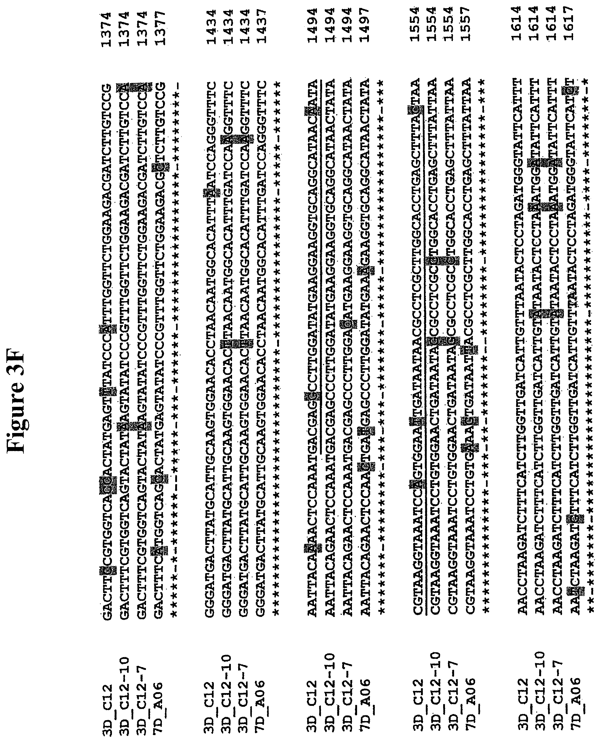 Patent US11778965 Figure 8 – Alteration of tobacco alkaloid content through modification of specific cytochrome P450 genes