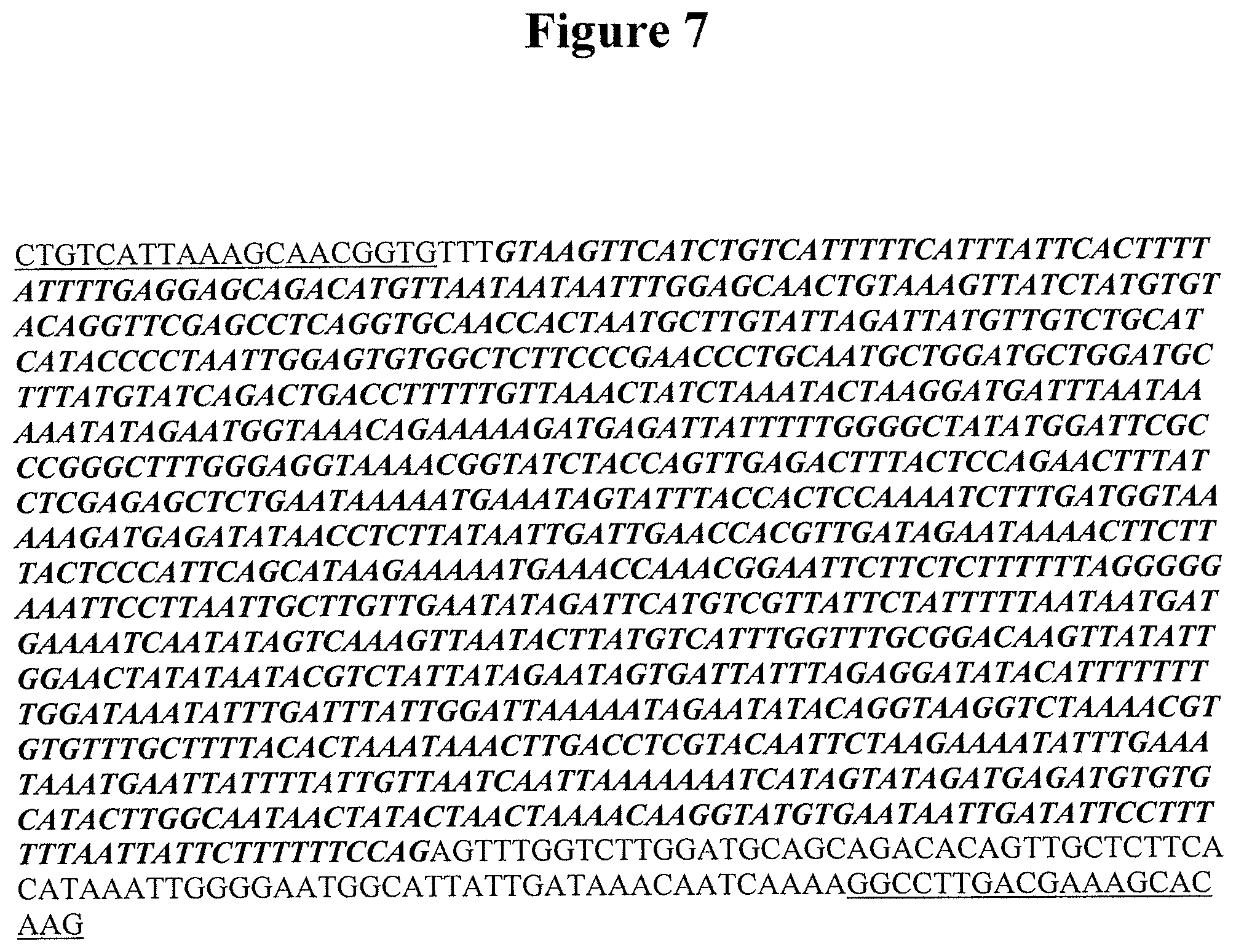 Patent US11778965 Figure 13 – Alteration of tobacco alkaloid content through modification of specific cytochrome P450 genes