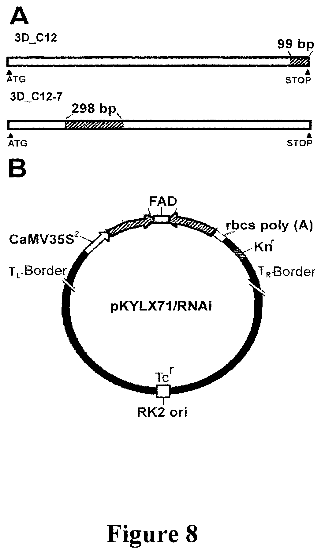 Patent US11778965 Figure 14 – Alteration of tobacco alkaloid content through modification of specific cytochrome P450 genes