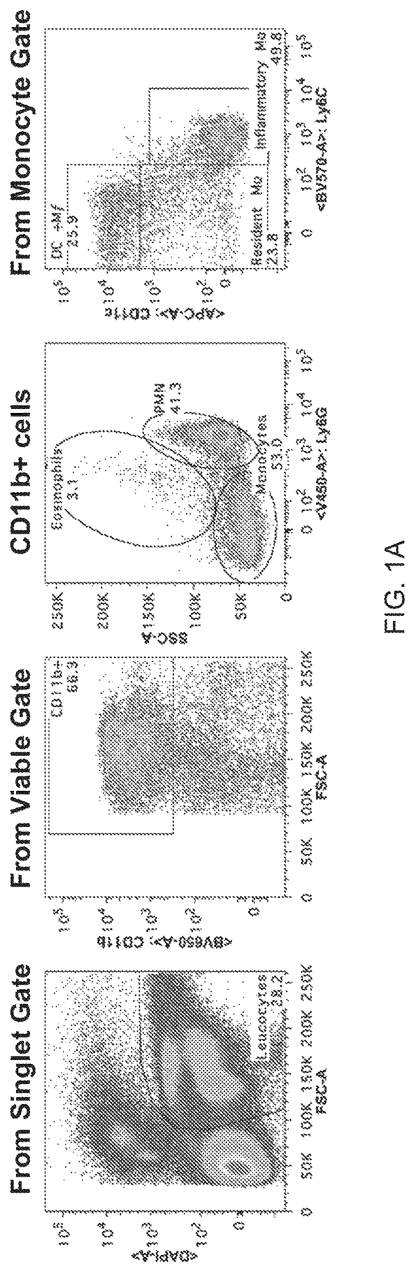 Patent US11778994 Figure 1 – NSG mice lacking MHC class I and class II