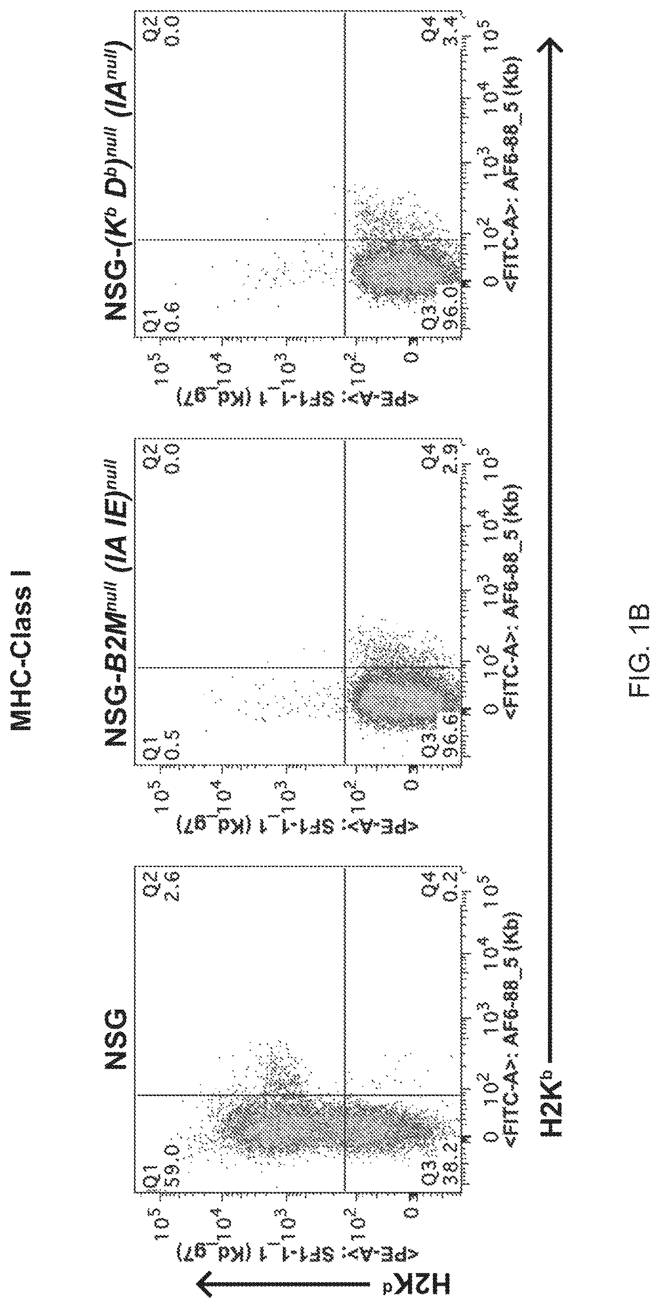 Patent US11778994 Figure 2 – NSG mice lacking MHC class I and class II