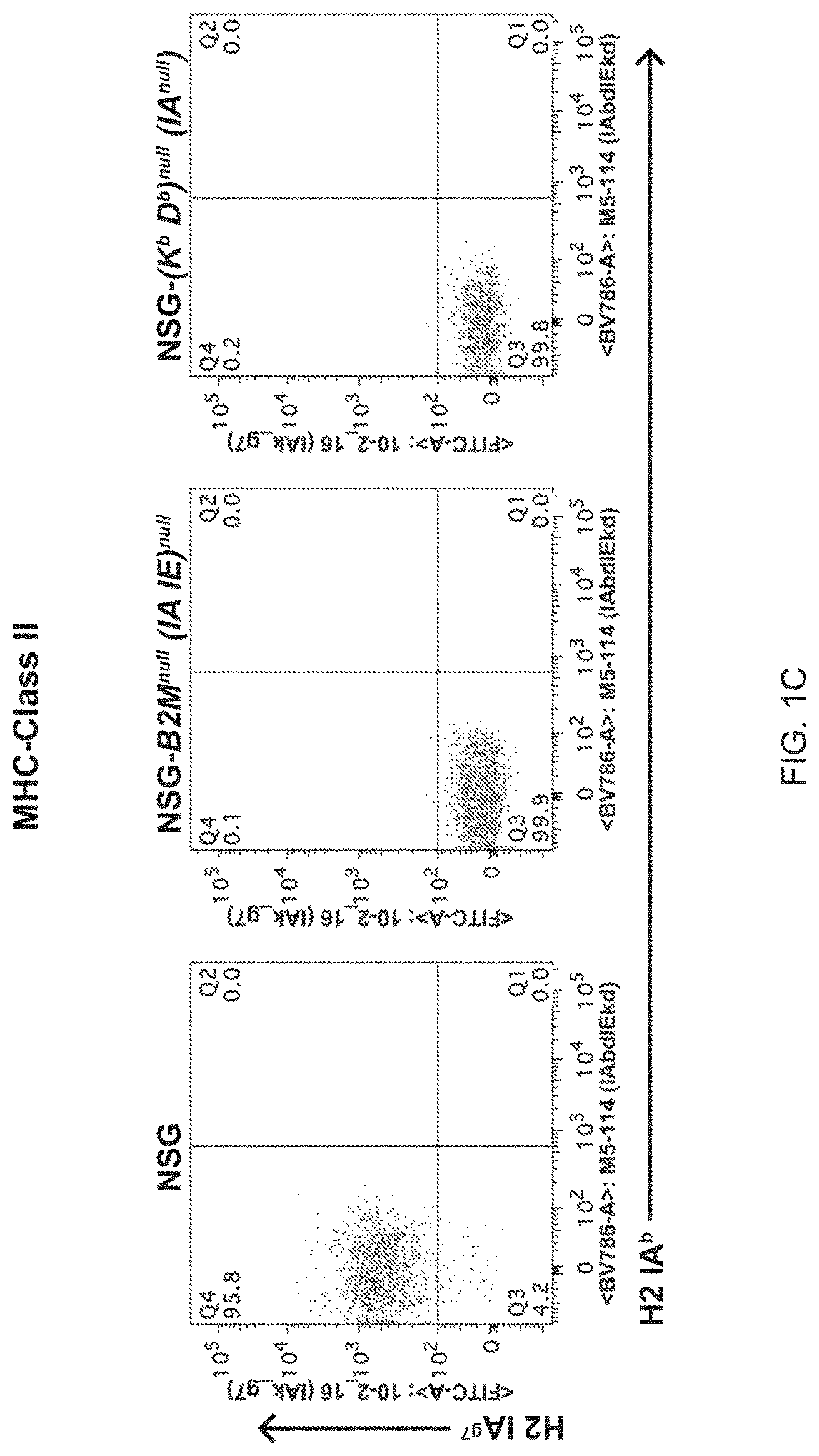 Patent US11778994 Figure 3 – NSG mice lacking MHC class I and class II