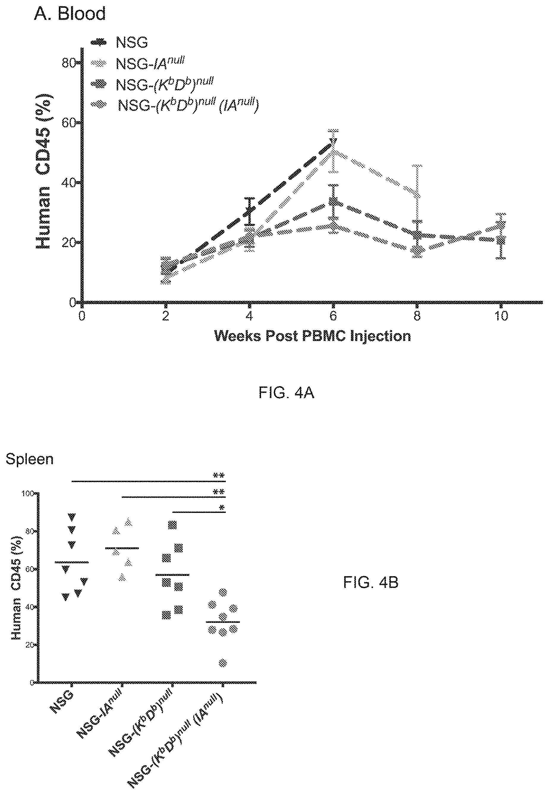 Patent US11778994 Figure 6 – NSG mice lacking MHC class I and class II