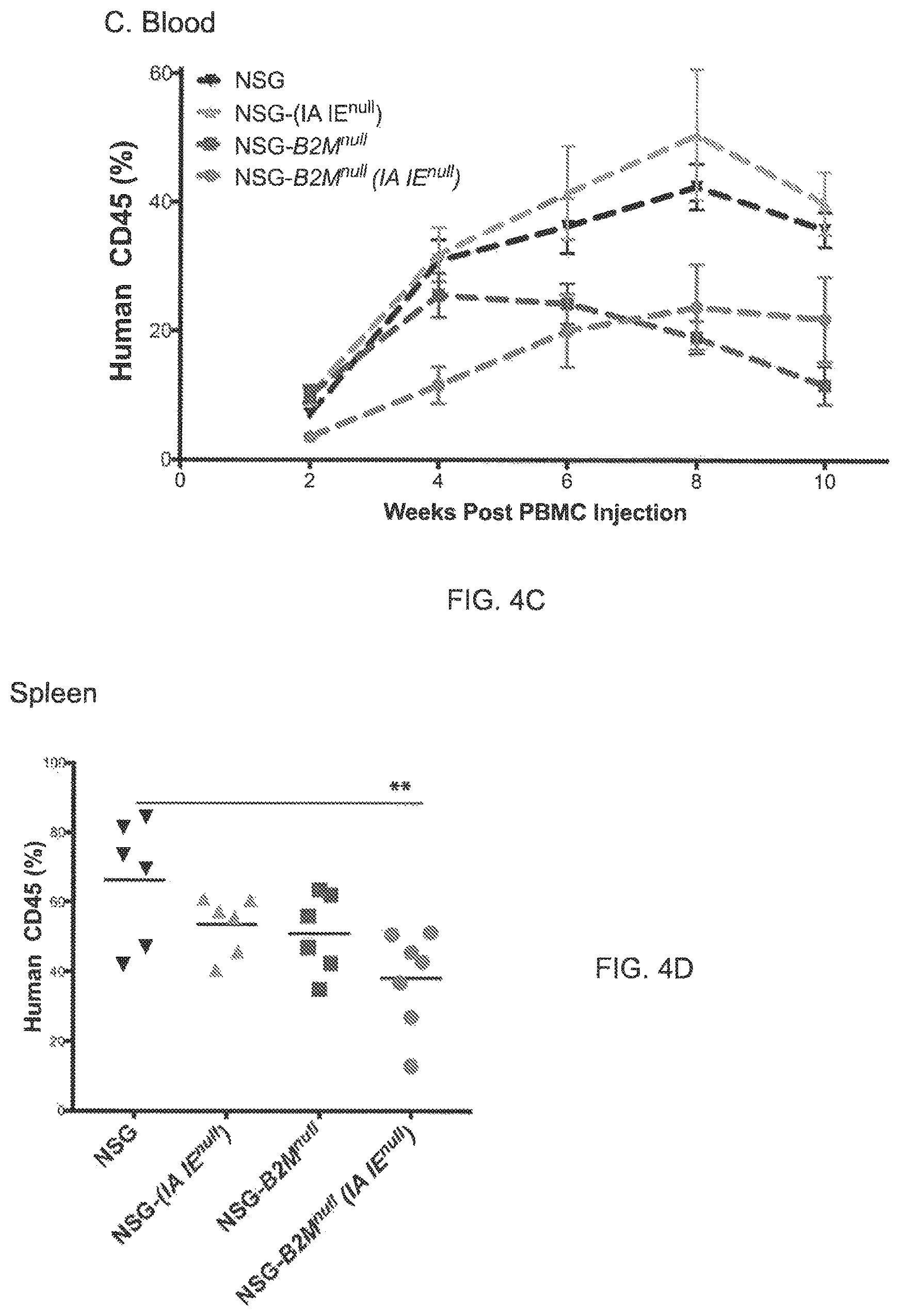 Patent US11778994 Figure 7 – NSG mice lacking MHC class I and class II