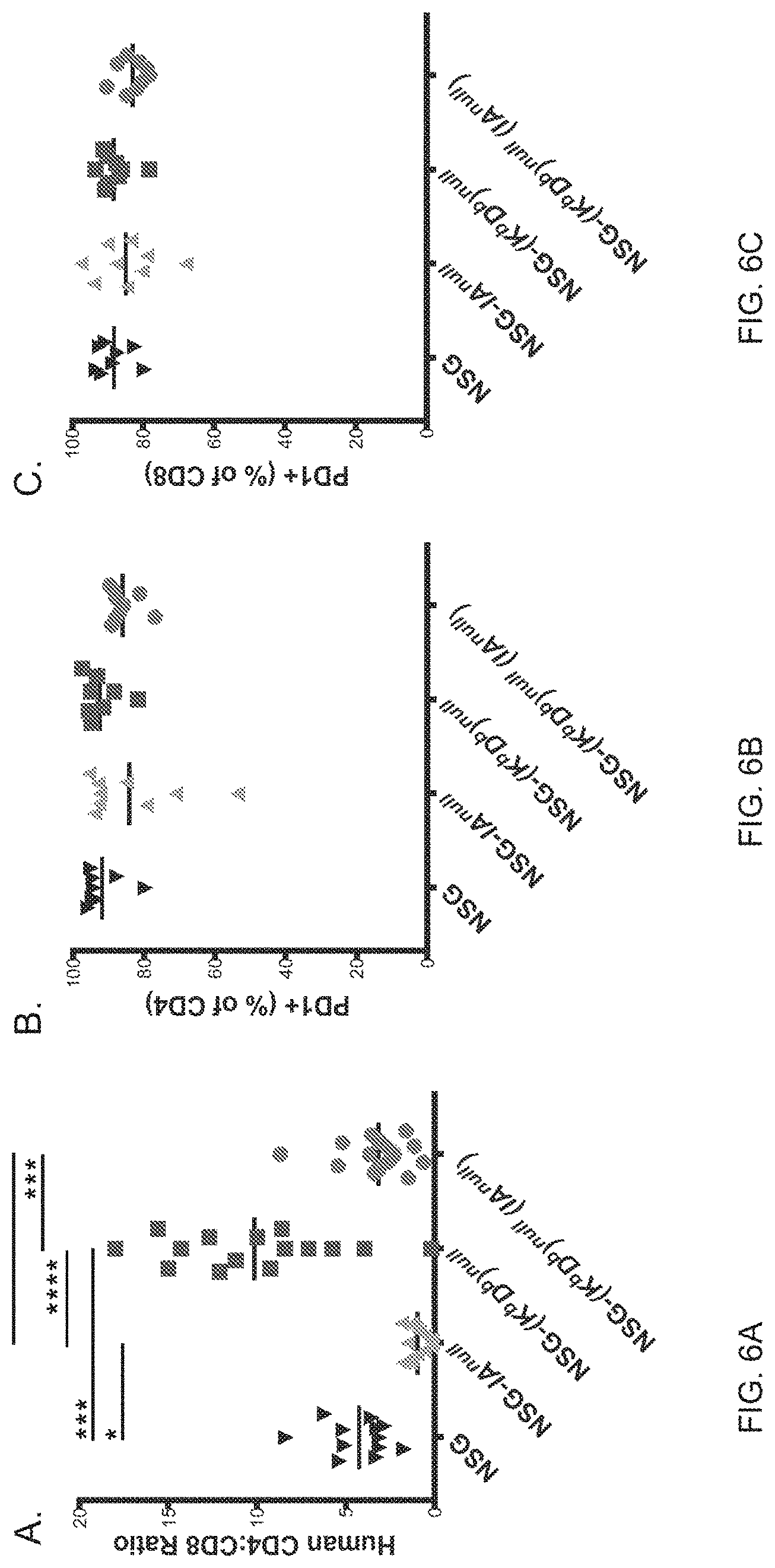 Patent US11778994 Figure 10 – NSG mice lacking MHC class I and class II