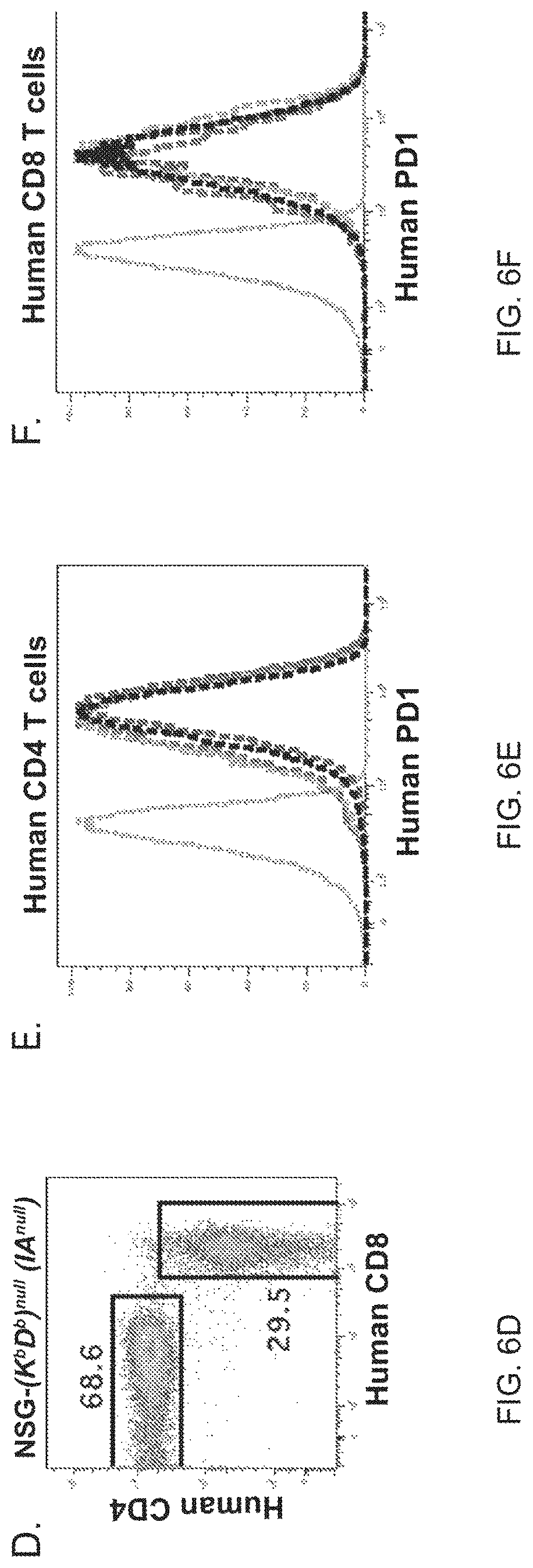 Patent US11778994 Figure 11 – NSG mice lacking MHC class I and class II