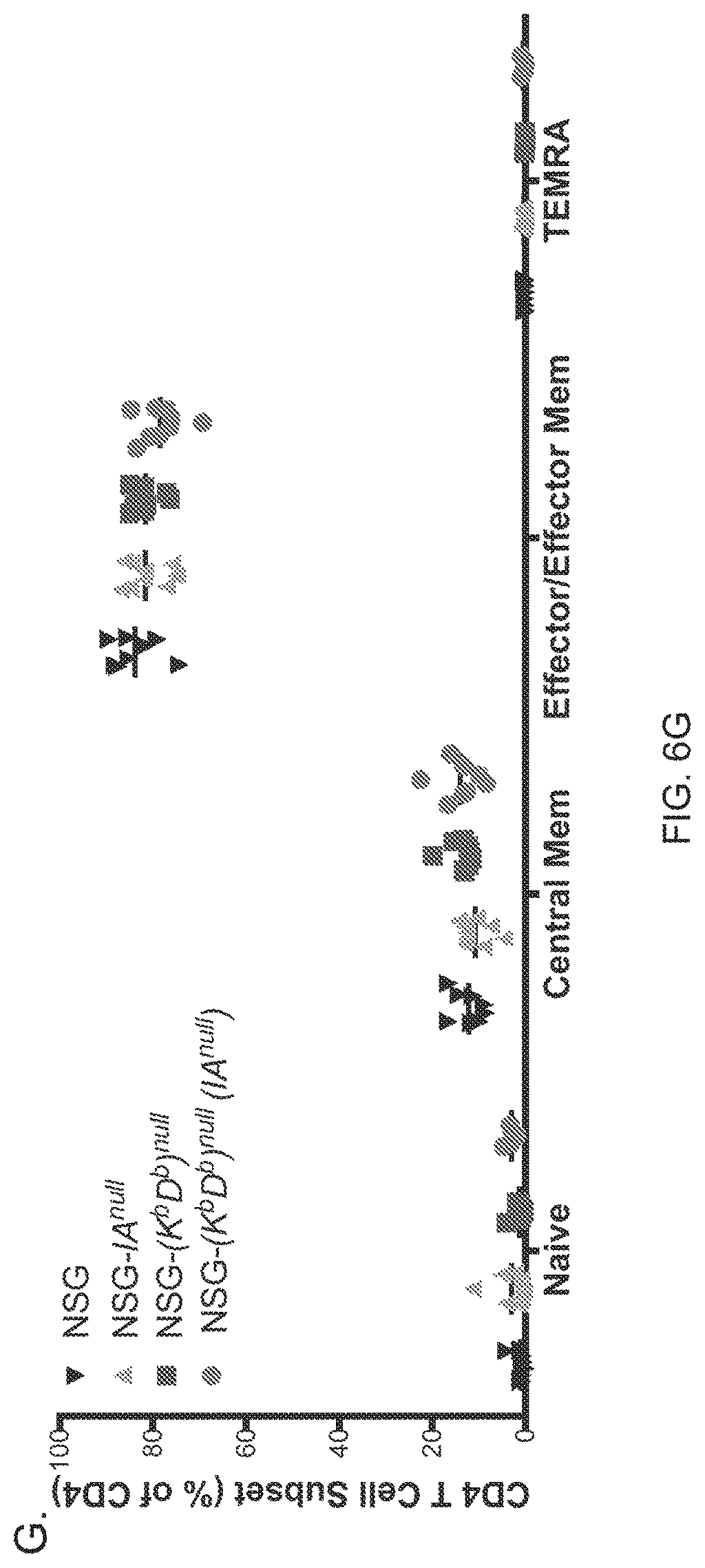 Patent US11778994 Figure 12 – NSG mice lacking MHC class I and class II