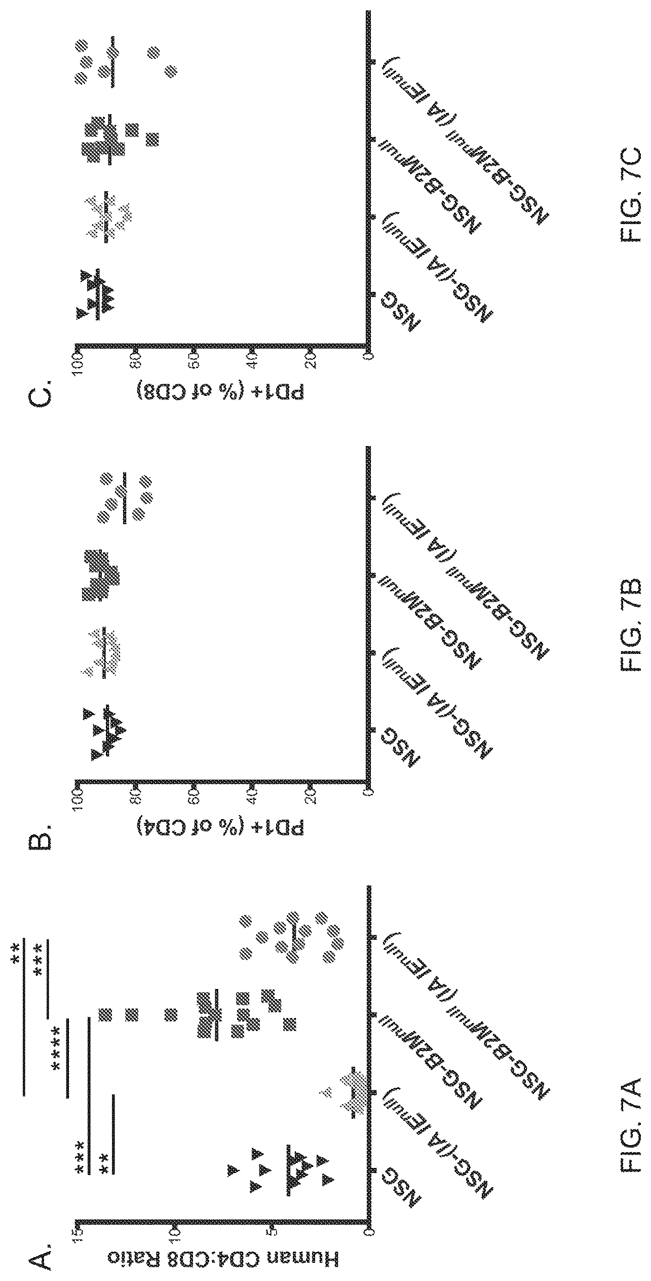 Patent US11778994 Figure 14 – NSG mice lacking MHC class I and class II
