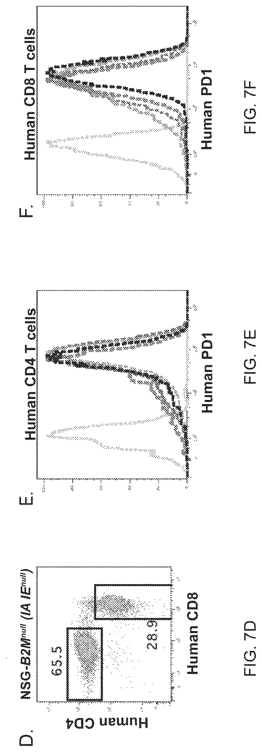 Patent US11778994 Figure 15 – NSG mice lacking MHC class I and class II