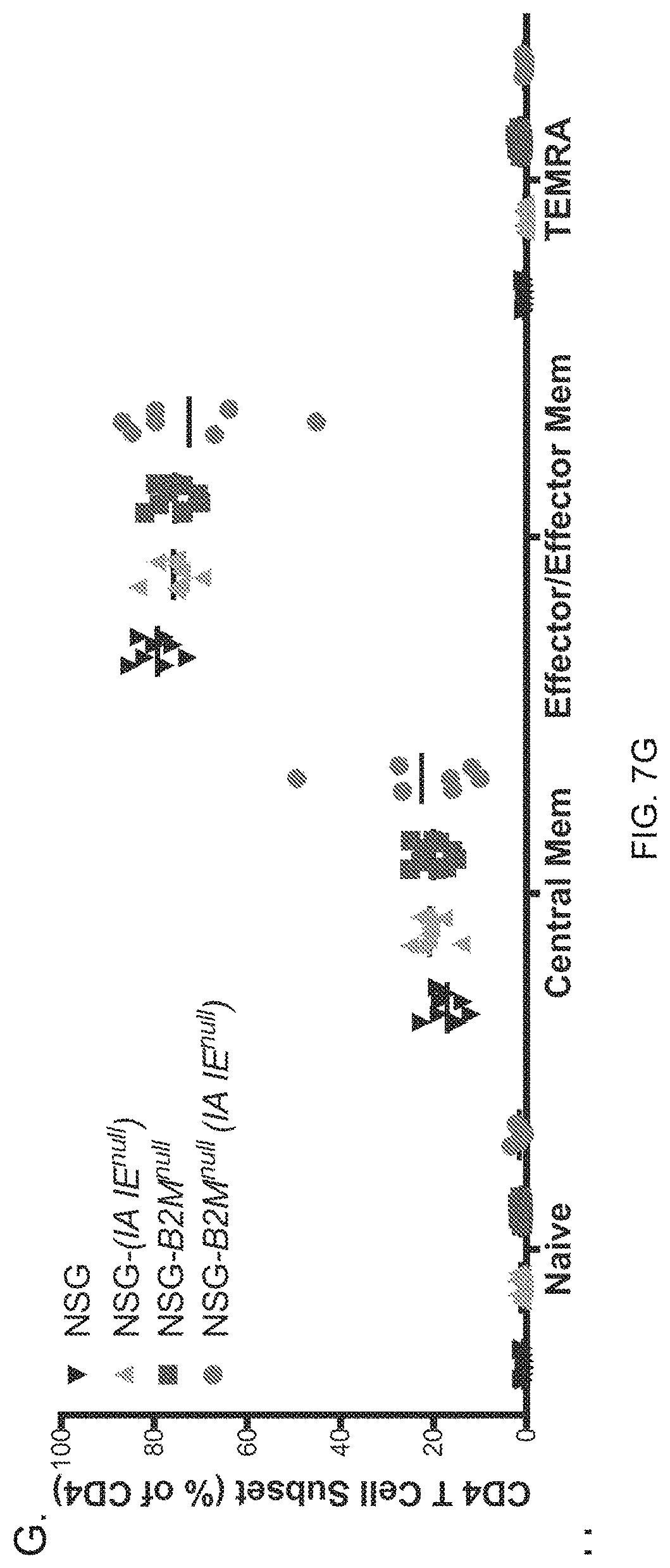 Patent US11778994 Figure 16 – NSG mice lacking MHC class I and class II