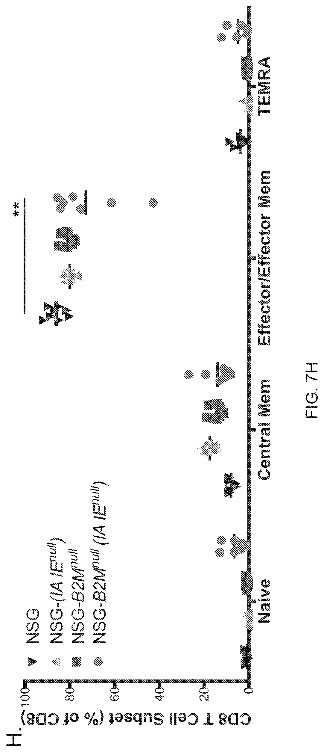 Patent US11778994 Figure 17 – NSG mice lacking MHC class I and class II
