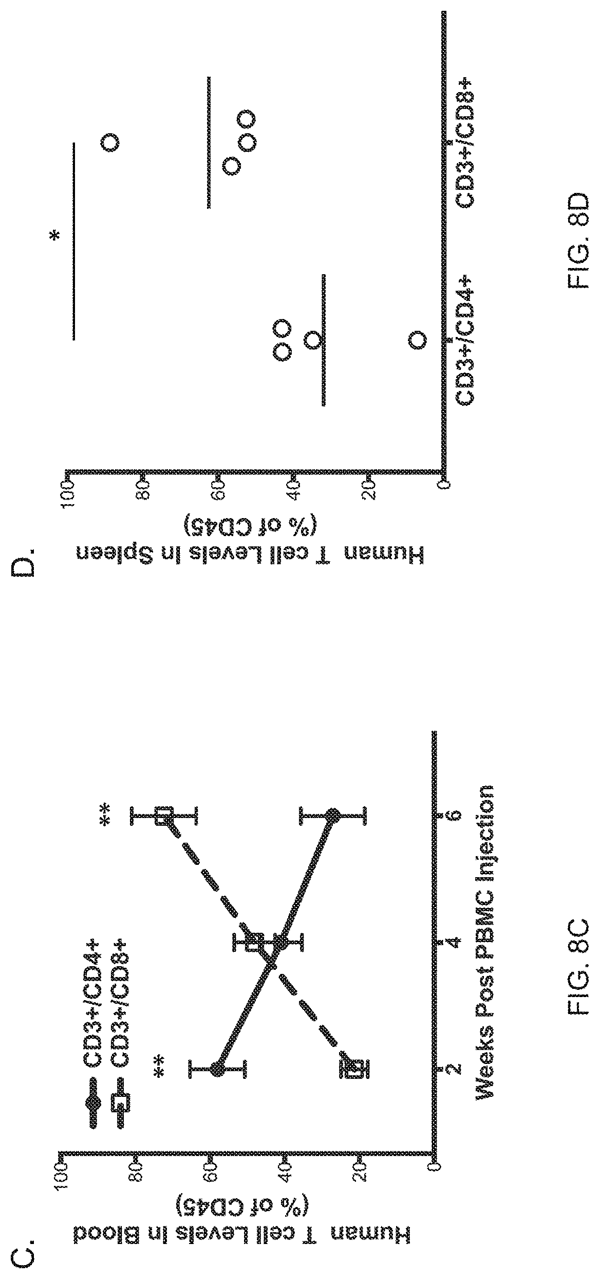 Patent US11778994 Figure 19 – NSG mice lacking MHC class I and class II
