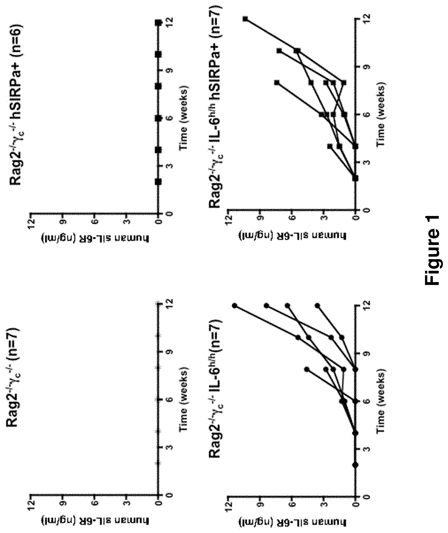 Patent US11778995 Figure 1 – Genetically modified non-human animals and methods of use thereof