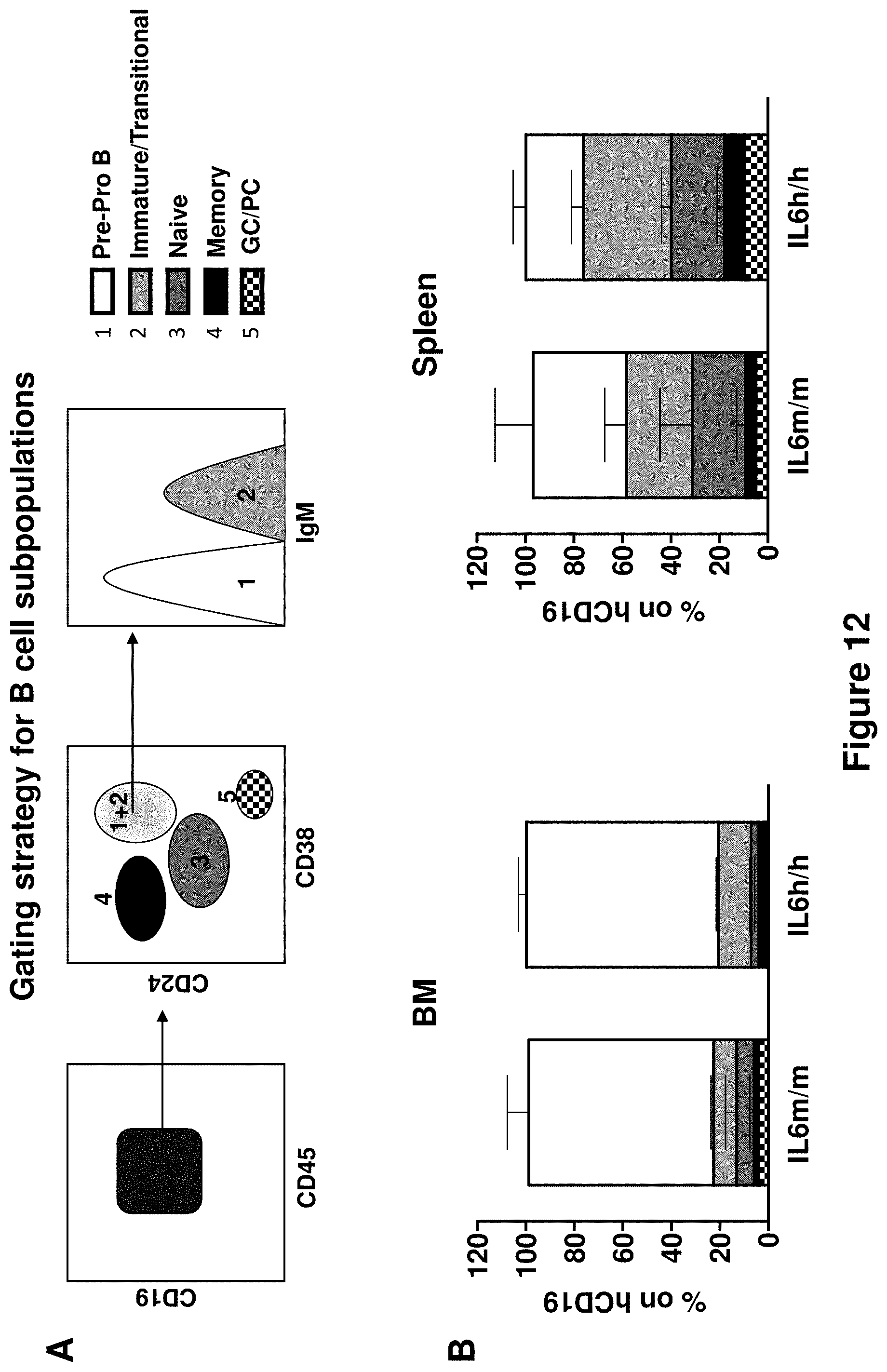 Patent US11778995 Figure 12 – Genetically modified non-human animals and methods of use thereof