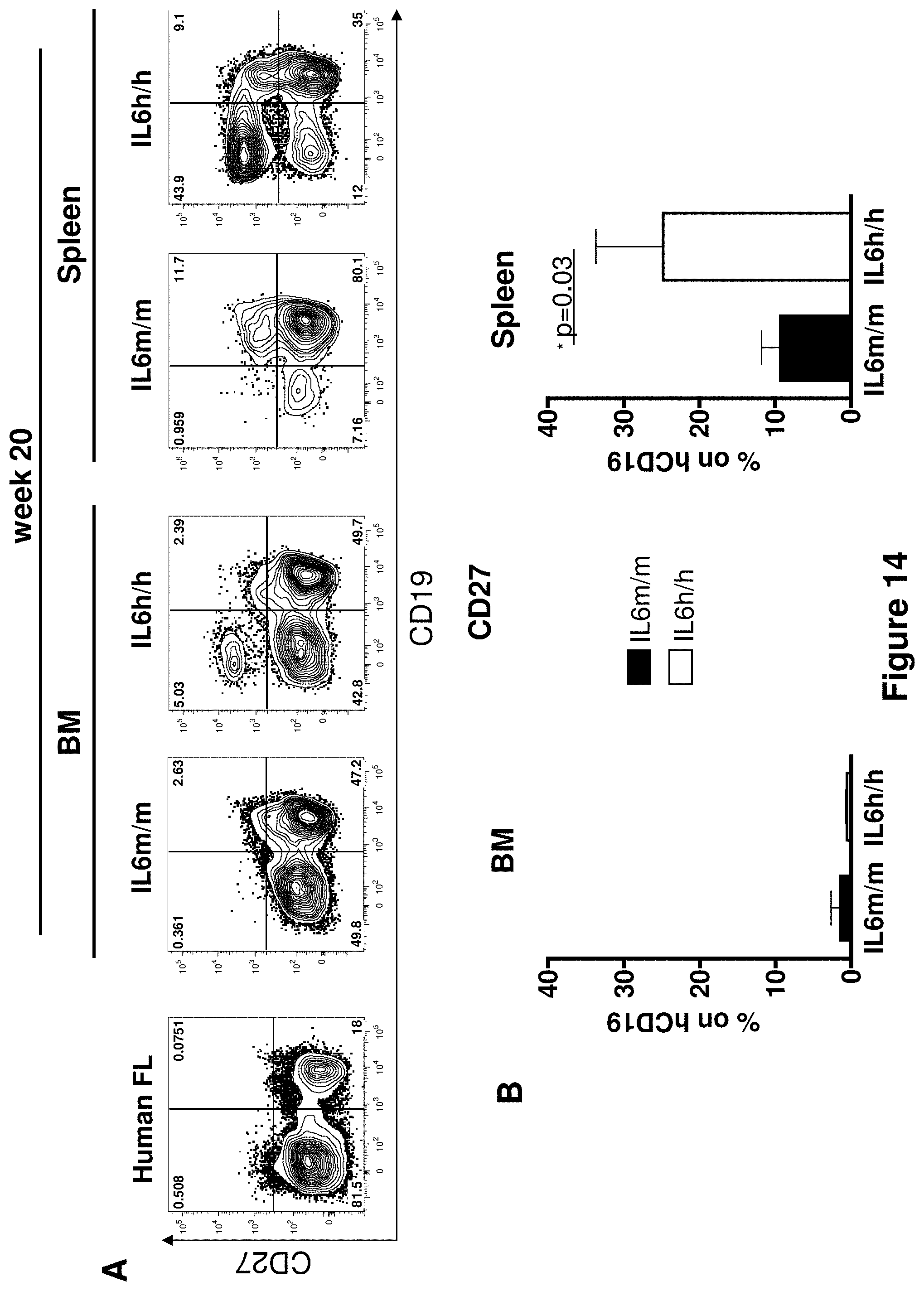 Patent US11778995 Figure 14 – Genetically modified non-human animals and methods of use thereof