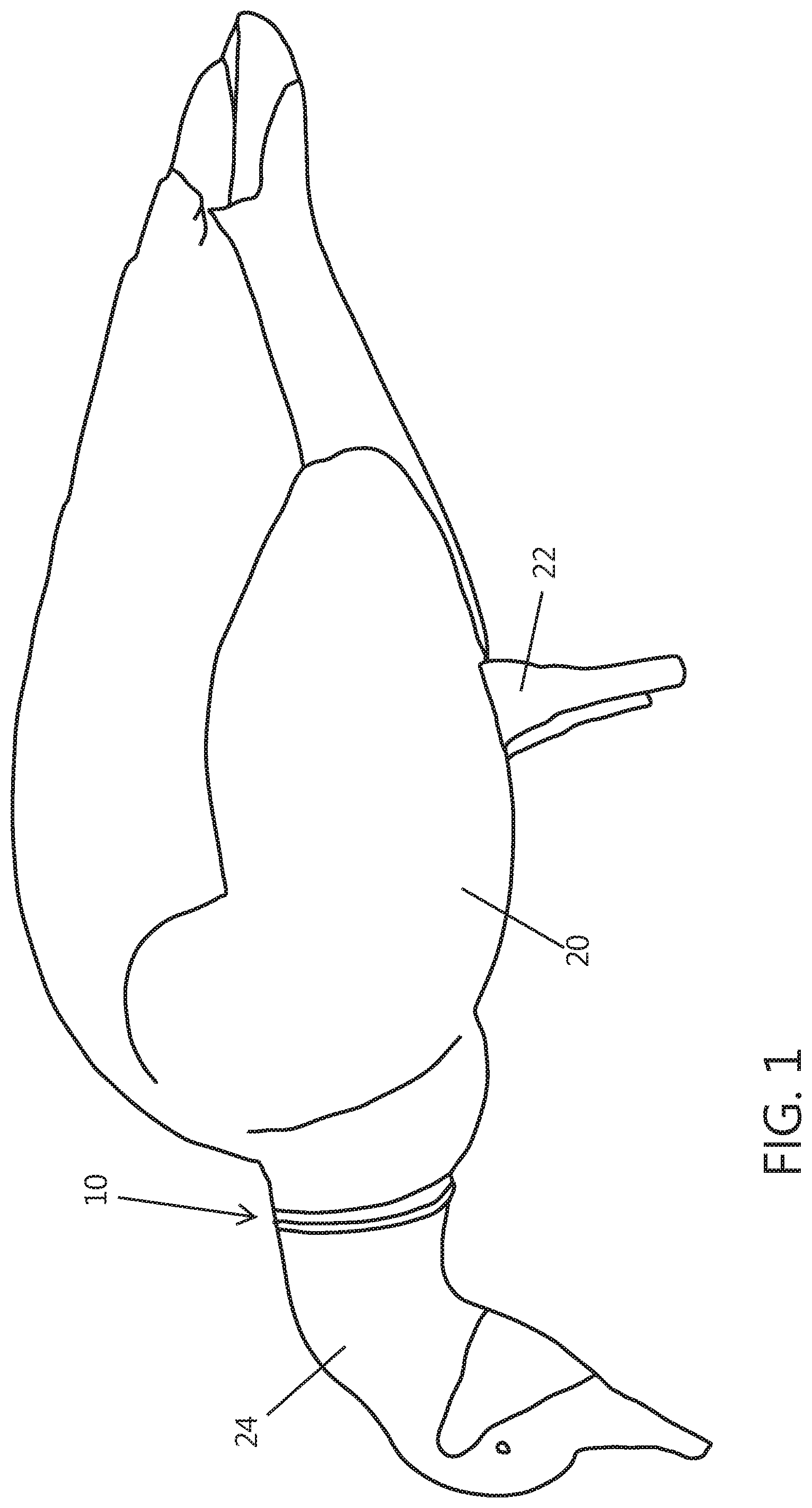 Patent US11779010 Figure 1 – Multi dimensional decoy body and head connector