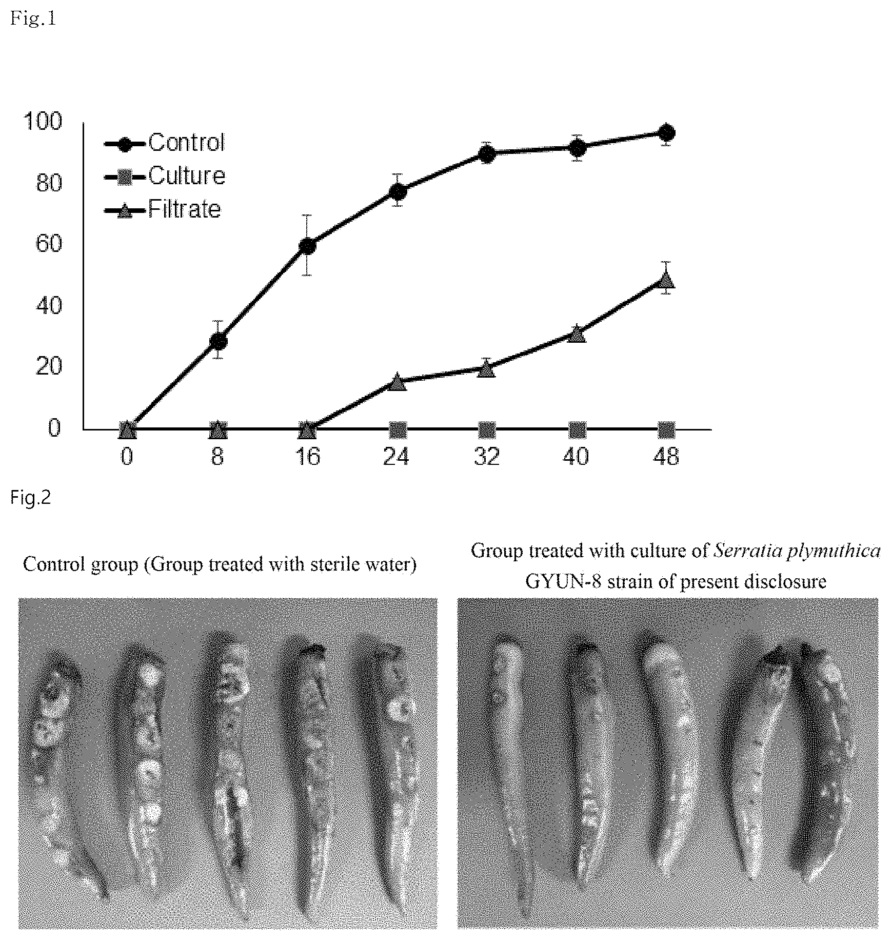 Patent US11779021 Figure 1 – Strain Serratia plymuthica gyun-8 and use thereof