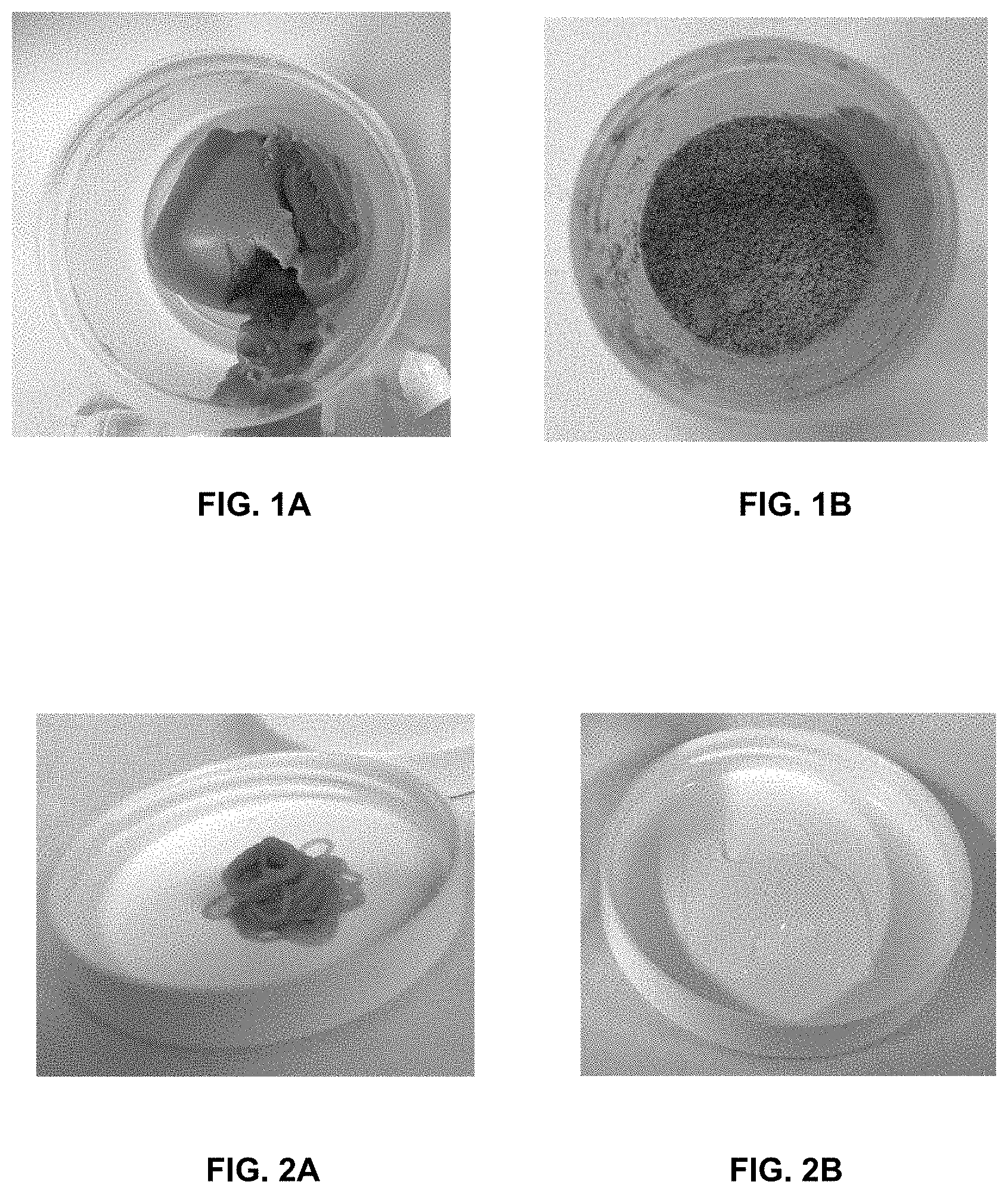 Patent US11779033 Figure 1 – Process of manufacturing edible microextruded product comprising protein,composition thereby obtained and the use thereof