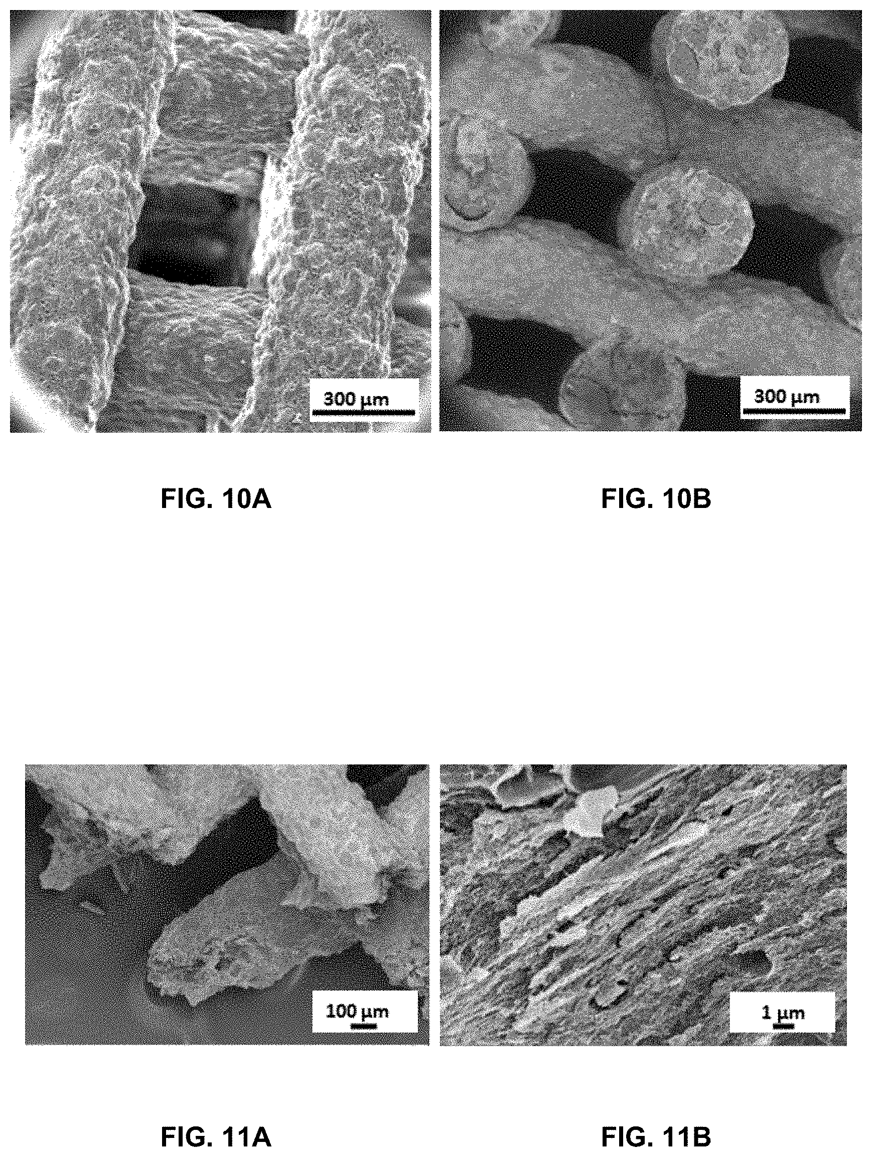Patent US11779033 Figure 8 – Process of manufacturing edible microextruded product comprising protein,composition thereby obtained and the use thereof