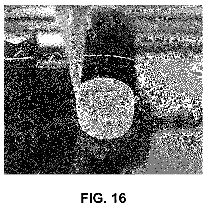 Patent US11779033 Figure 11 – Process of manufacturing edible microextruded product comprising protein,composition thereby obtained and the use thereof