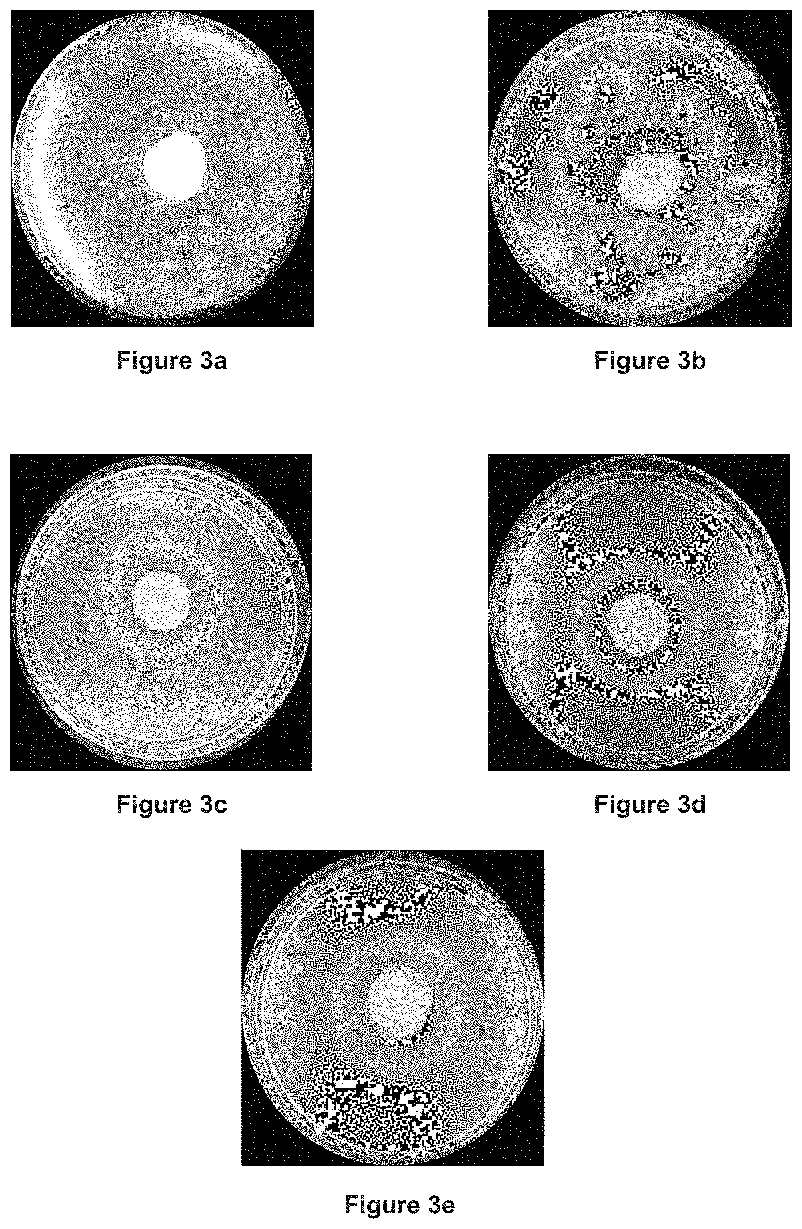 Patent US11779065 Figure 2 – Functional textile fabric