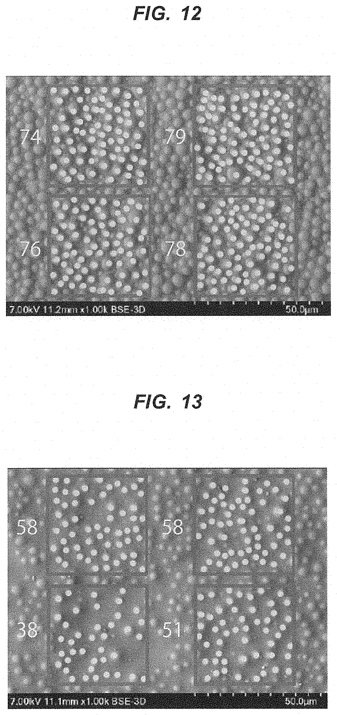 Patent US11779193 Figure 12 – Molded article and hollow tube
