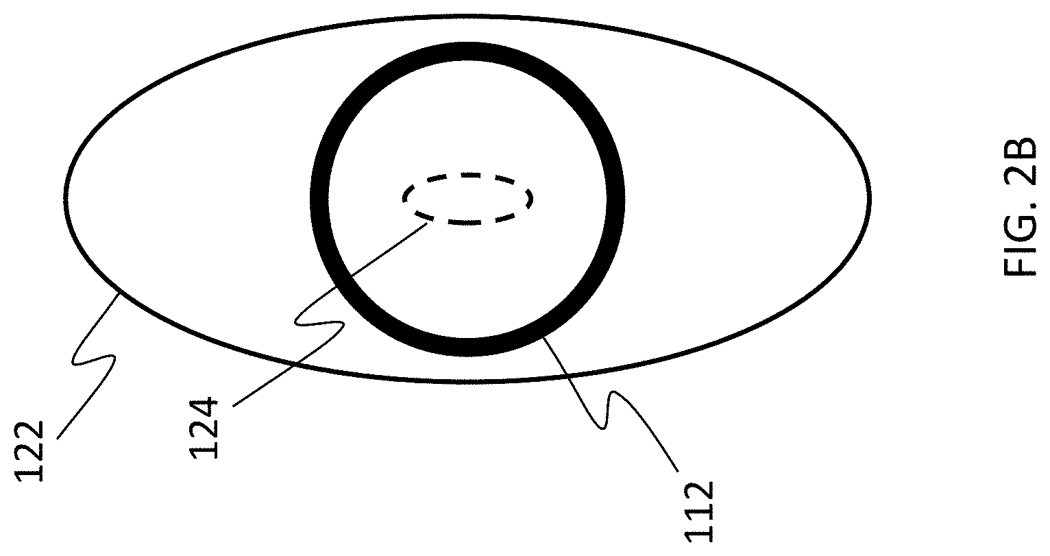 Patent US11779246 Figure 3 – Hemoglobin measurement from a single vessel