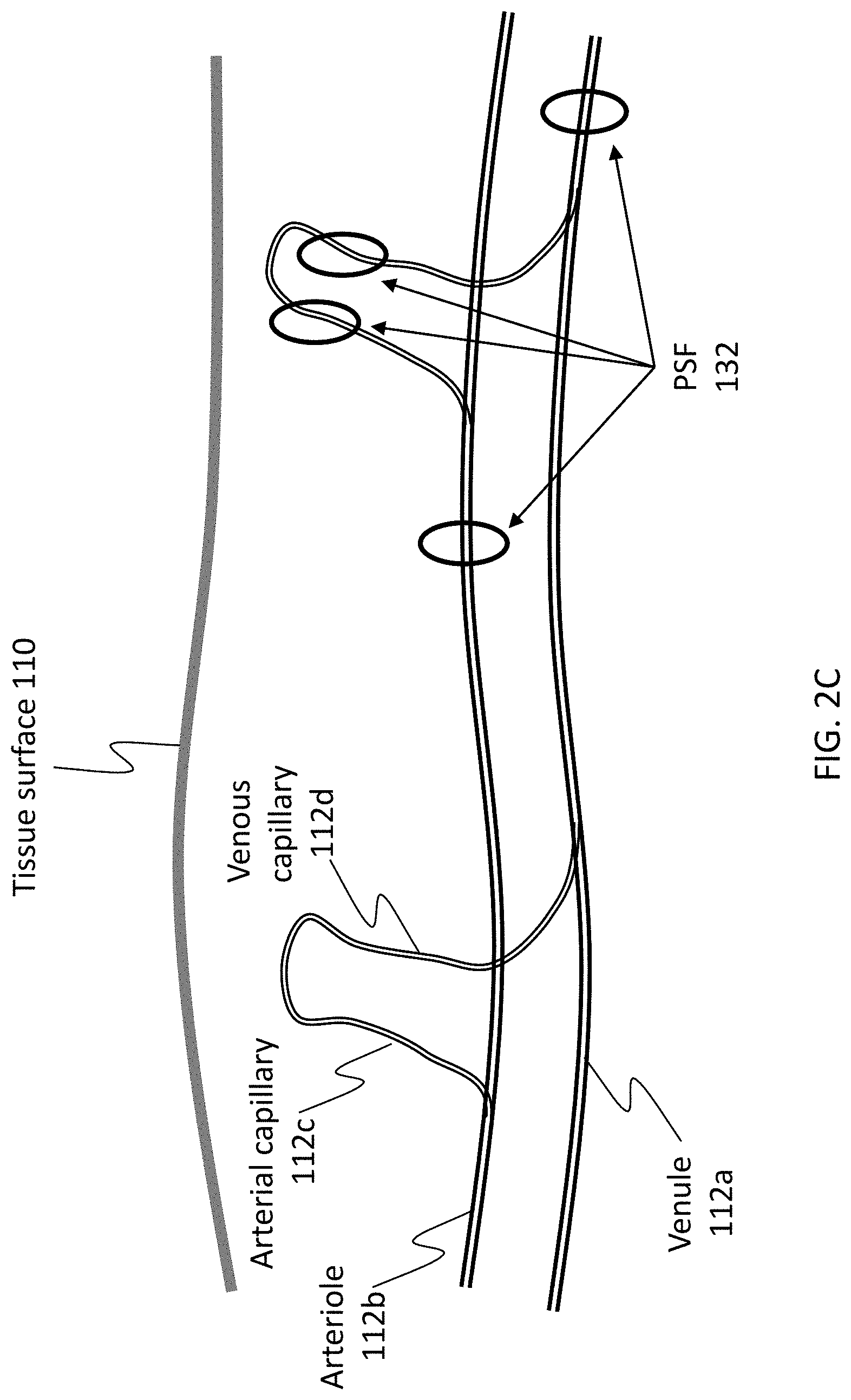 Patent US11779246 Figure 4 – Hemoglobin measurement from a single vessel