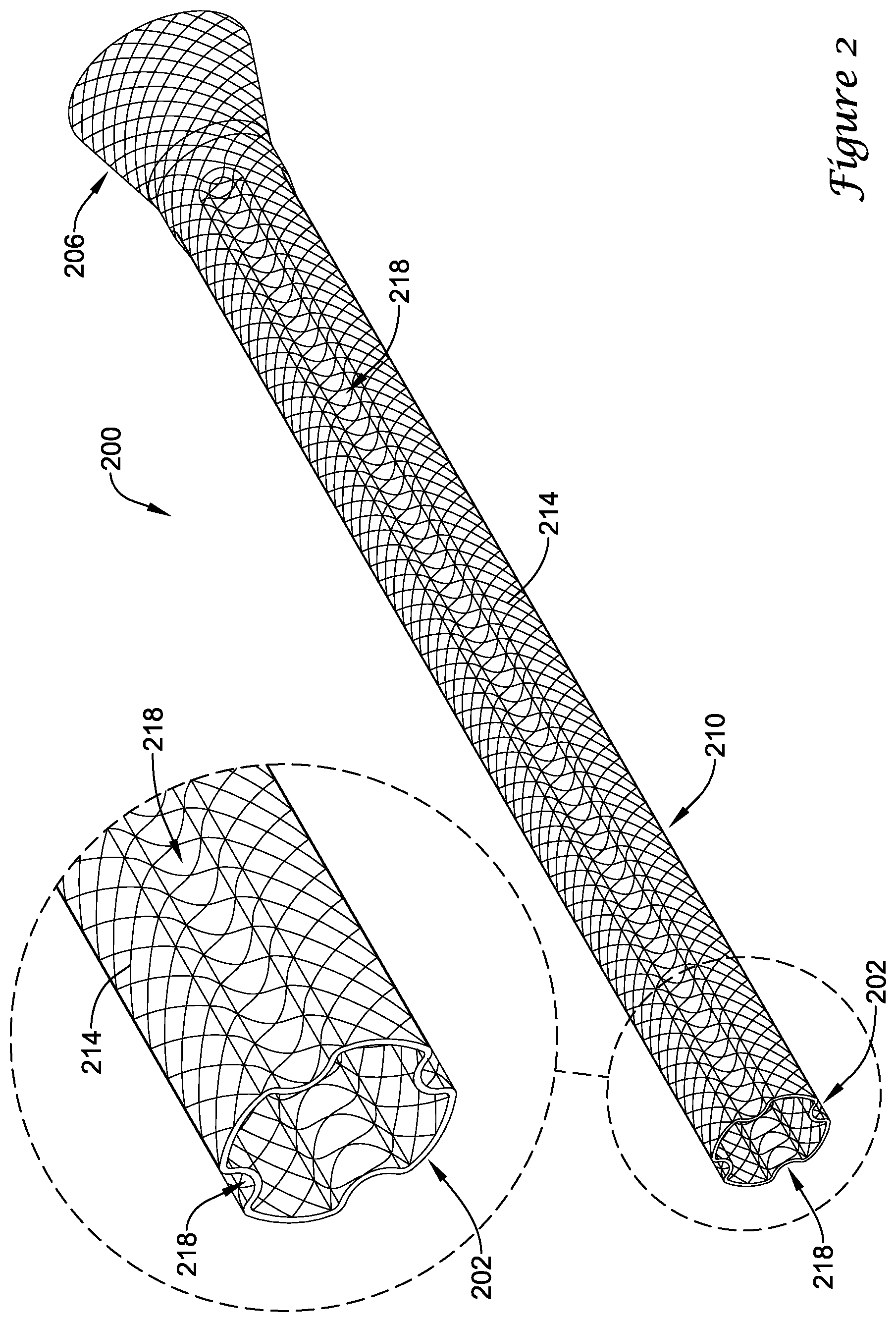 Patent US11779480 Figure 2 – Medical devices for use along the biliary and/or pancreatic tract