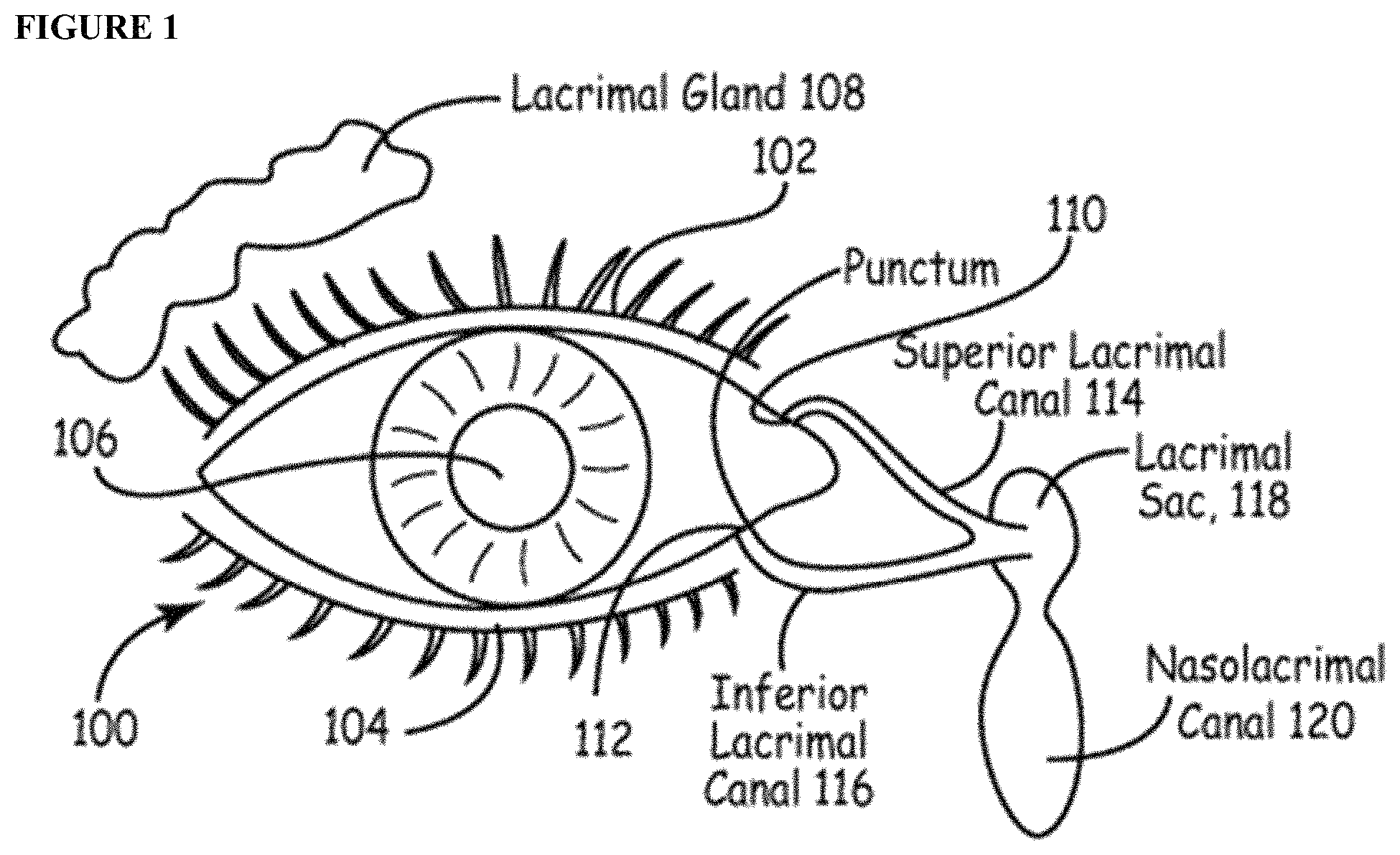 Patent US11779536 Figure 1 – Sustained release biodegradable intracanalicular inserts comprising a hydrogel and cyclosporine