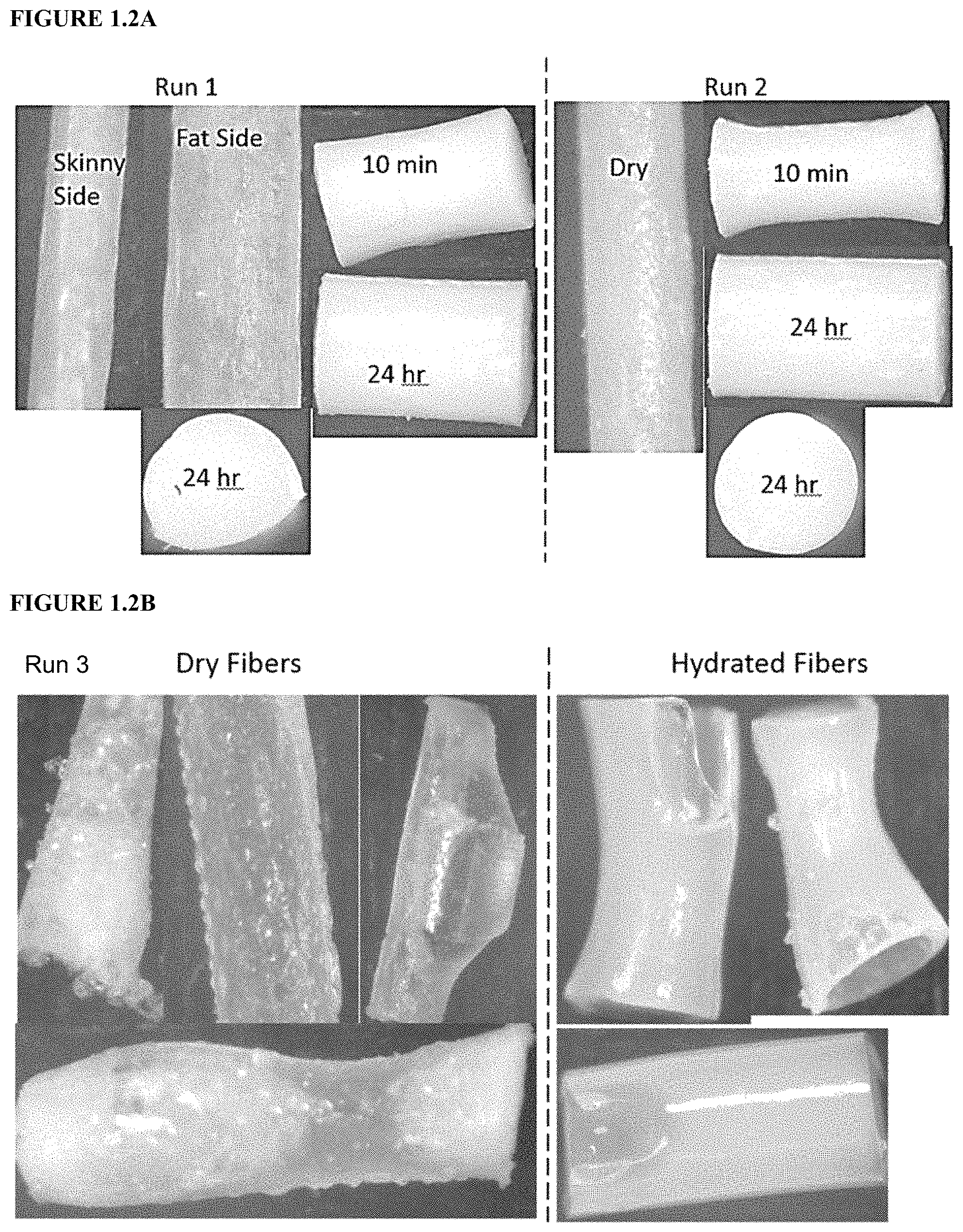 Patent US11779536 Figure 2 – Sustained release biodegradable intracanalicular inserts comprising a hydrogel and cyclosporine