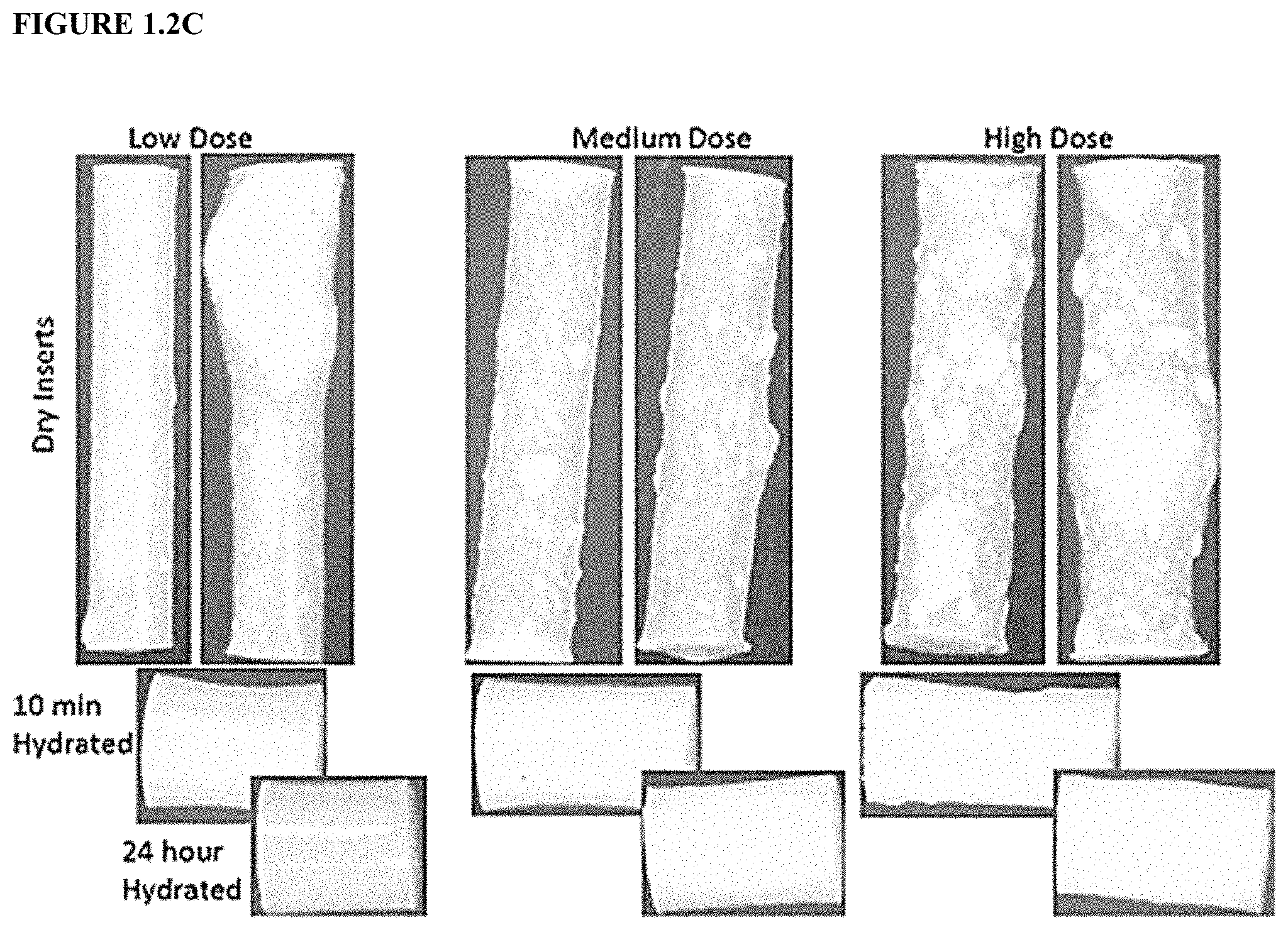 Patent US11779536 Figure 3 – Sustained release biodegradable intracanalicular inserts comprising a hydrogel and cyclosporine