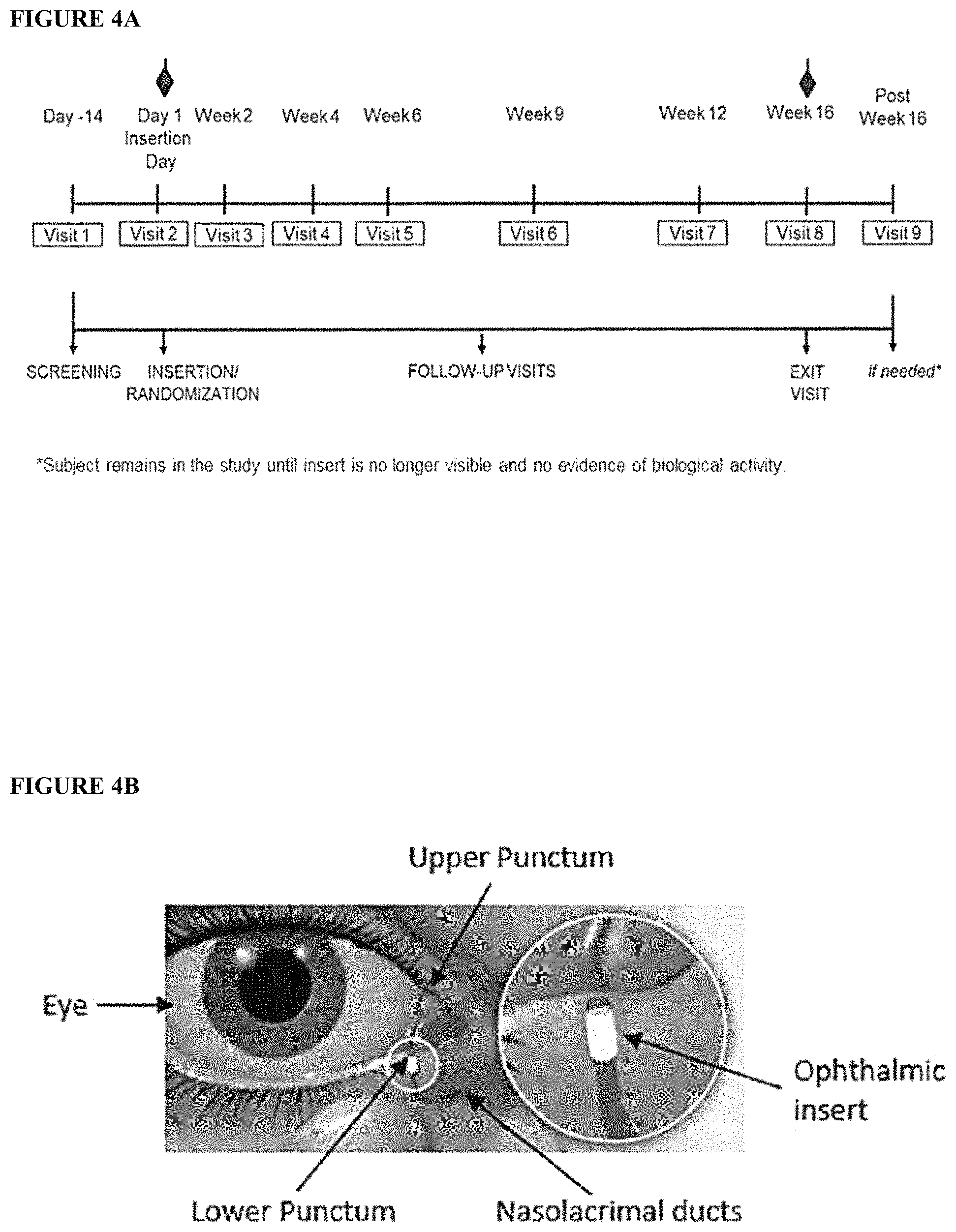 Patent US11779536 Figure 13 – Sustained release biodegradable intracanalicular inserts comprising a hydrogel and cyclosporine
