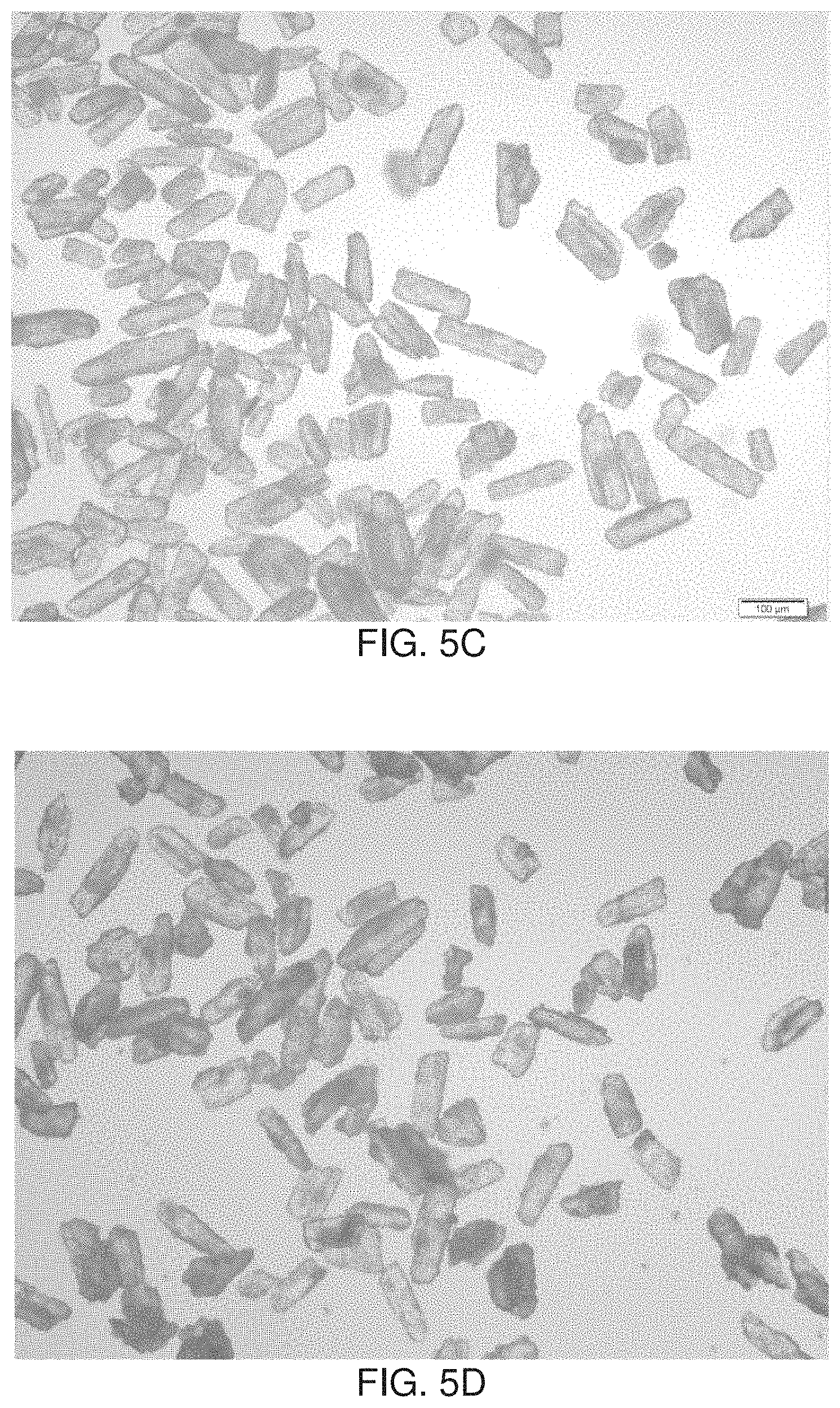 Patent US11779540 Figure 5 – Minimizing agglomeration of drug particle coating material during storage to stabilize disintegration times of pharmaceutical products
