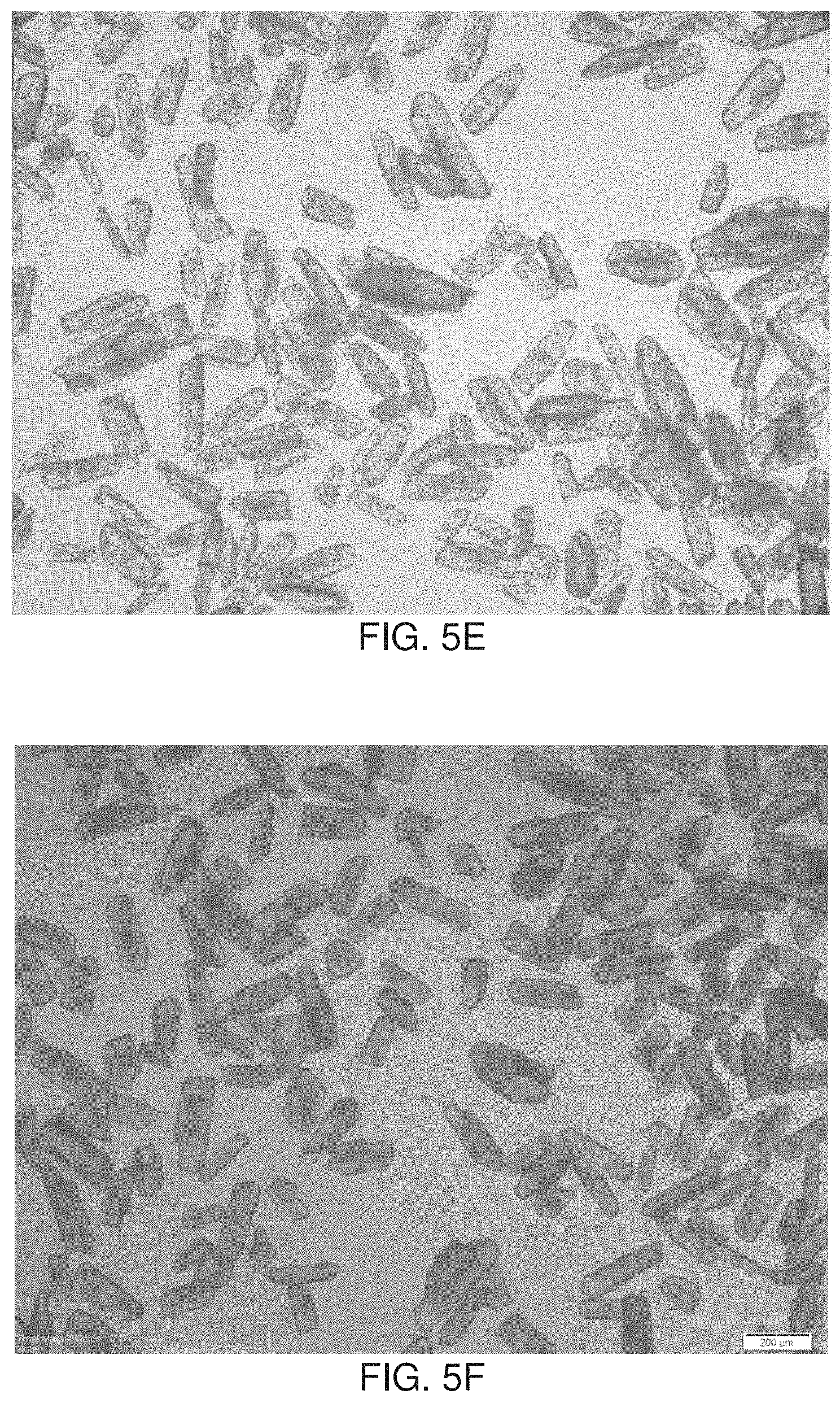 Patent US11779540 Figure 6 – Minimizing agglomeration of drug particle coating material during storage to stabilize disintegration times of pharmaceutical products