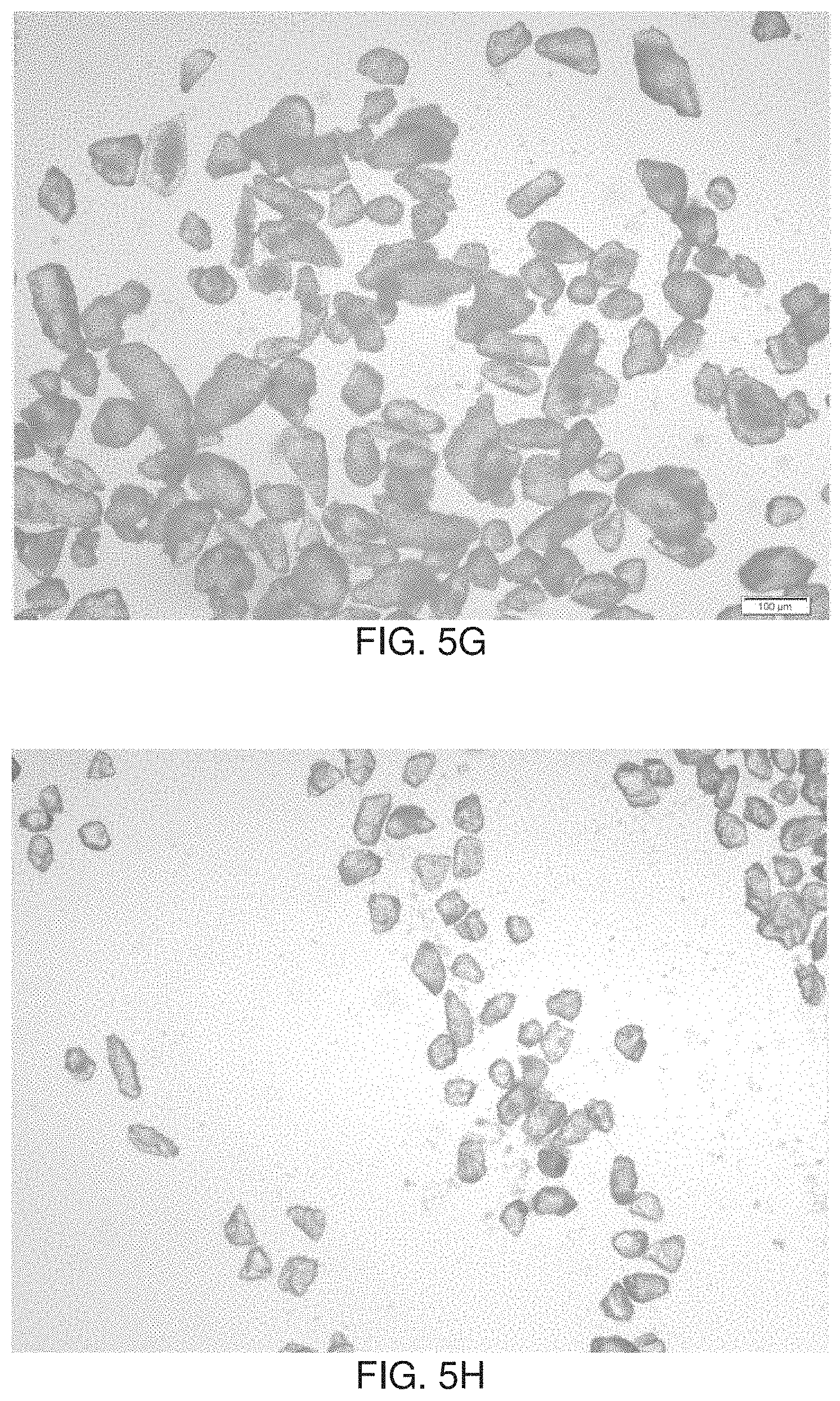 Patent US11779540 Figure 7 – Minimizing agglomeration of drug particle coating material during storage to stabilize disintegration times of pharmaceutical products