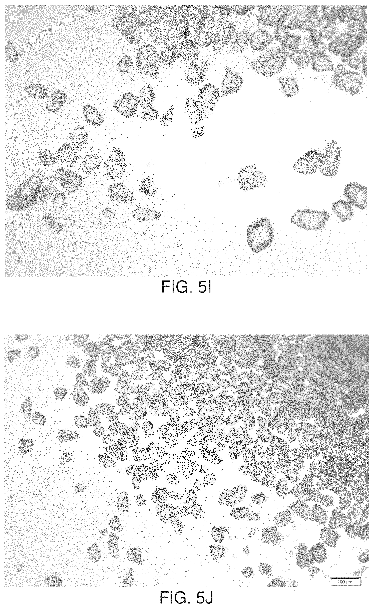 Patent US11779540 Figure 8 – Minimizing agglomeration of drug particle coating material during storage to stabilize disintegration times of pharmaceutical products