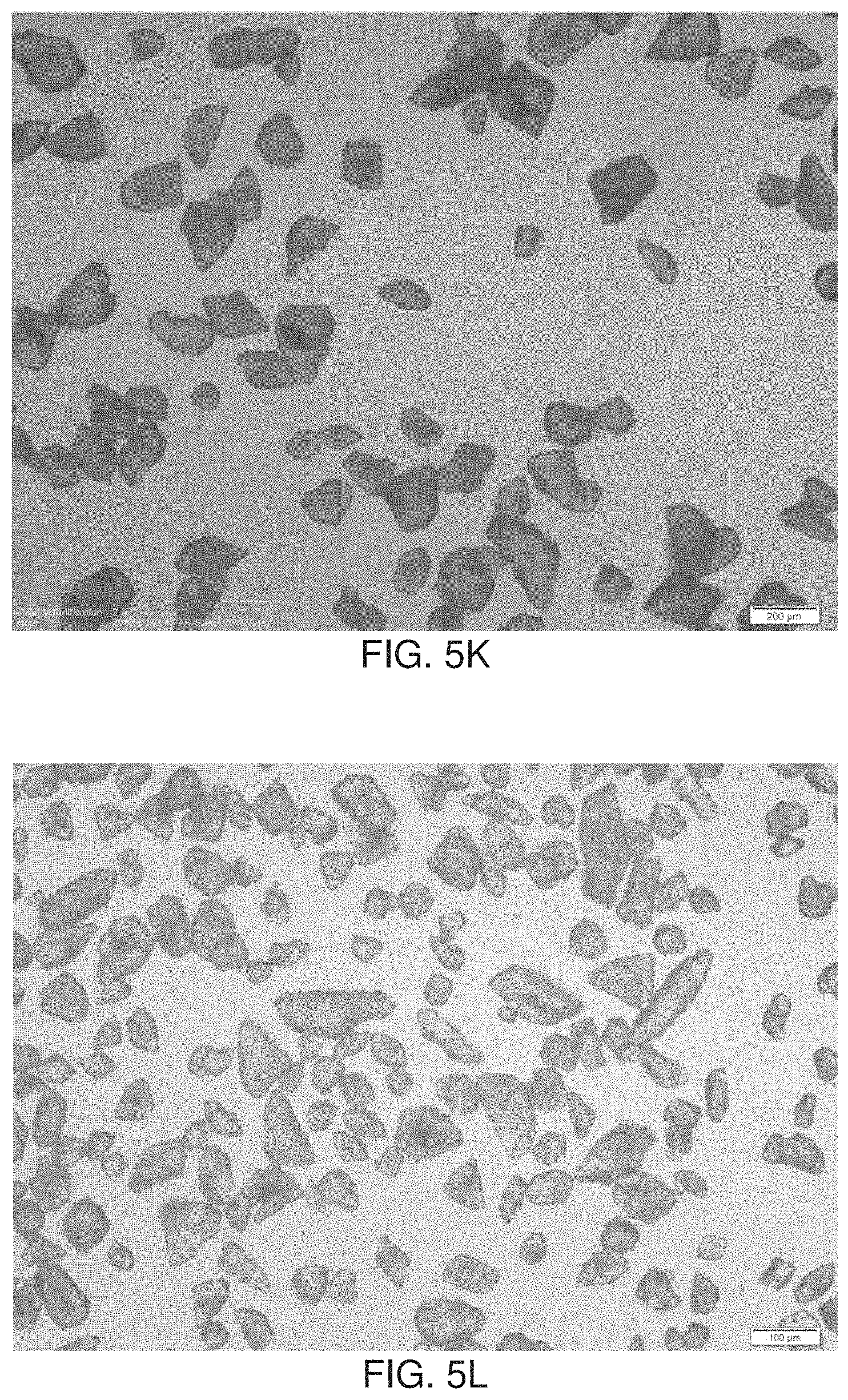 Patent US11779540 Figure 9 – Minimizing agglomeration of drug particle coating material during storage to stabilize disintegration times of pharmaceutical products