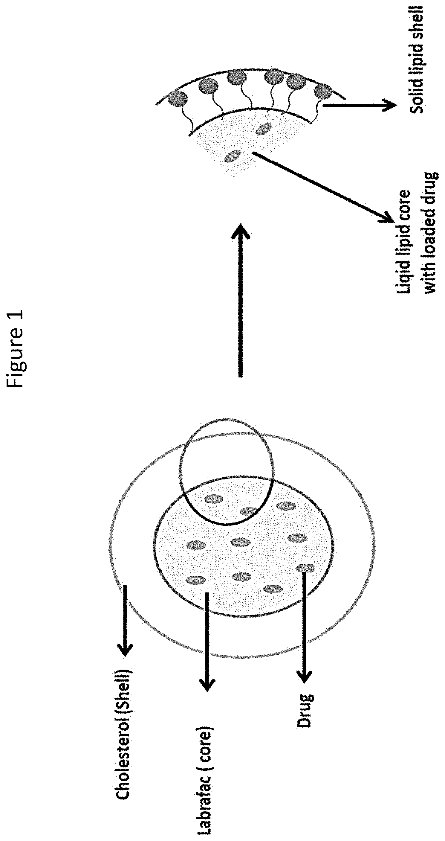 Patent US11779543 Figure 1 – Ocular drug delivery