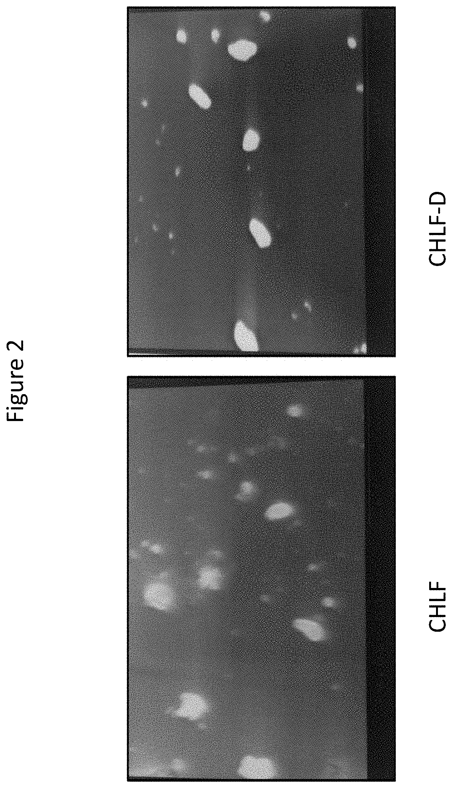 Patent US11779543 Figure 2 – Ocular drug delivery