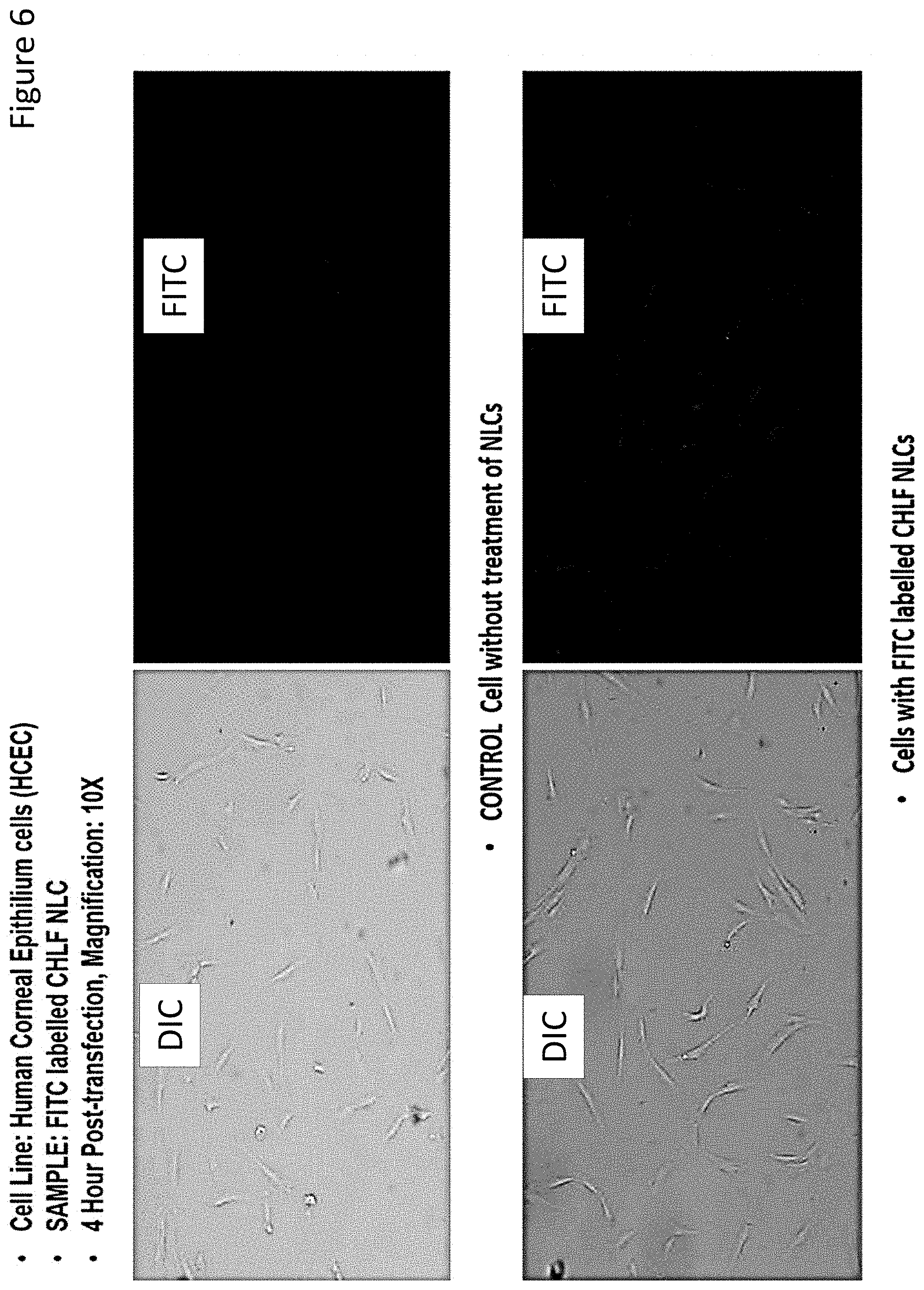 Patent US11779543 Figure 6 – Ocular drug delivery